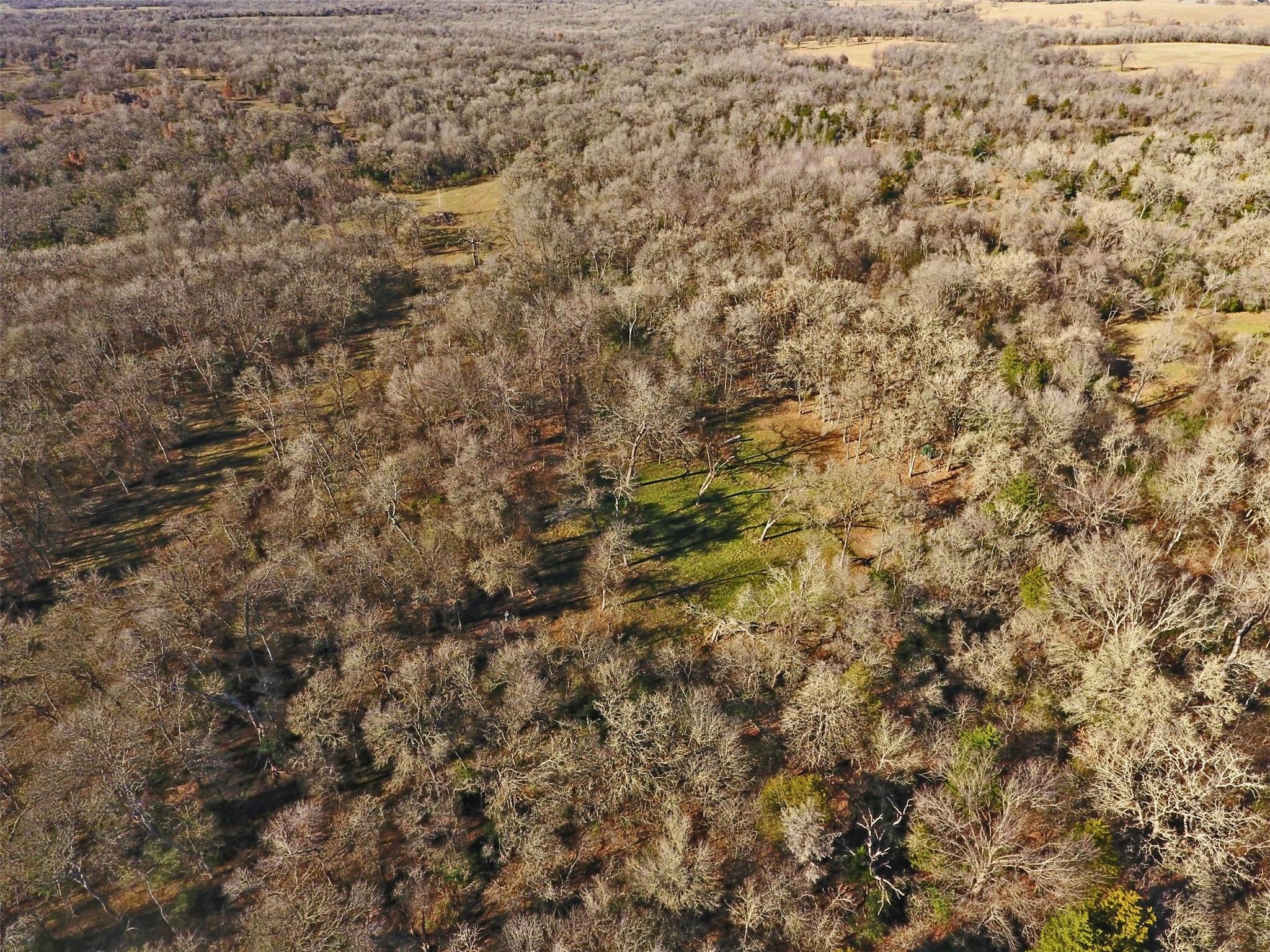 2523 County Road 456, Thorndale, TX 76577