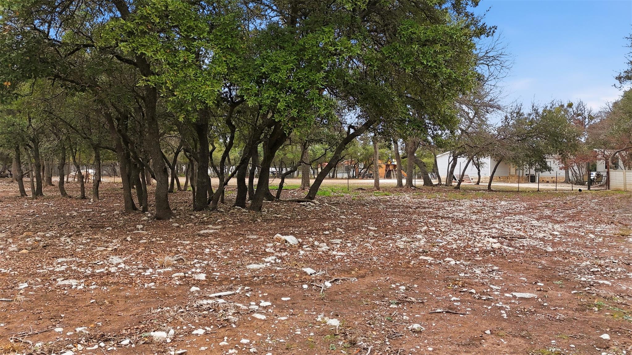 305 Saratoga Springs Cv, Liberty Hill, TX 78642