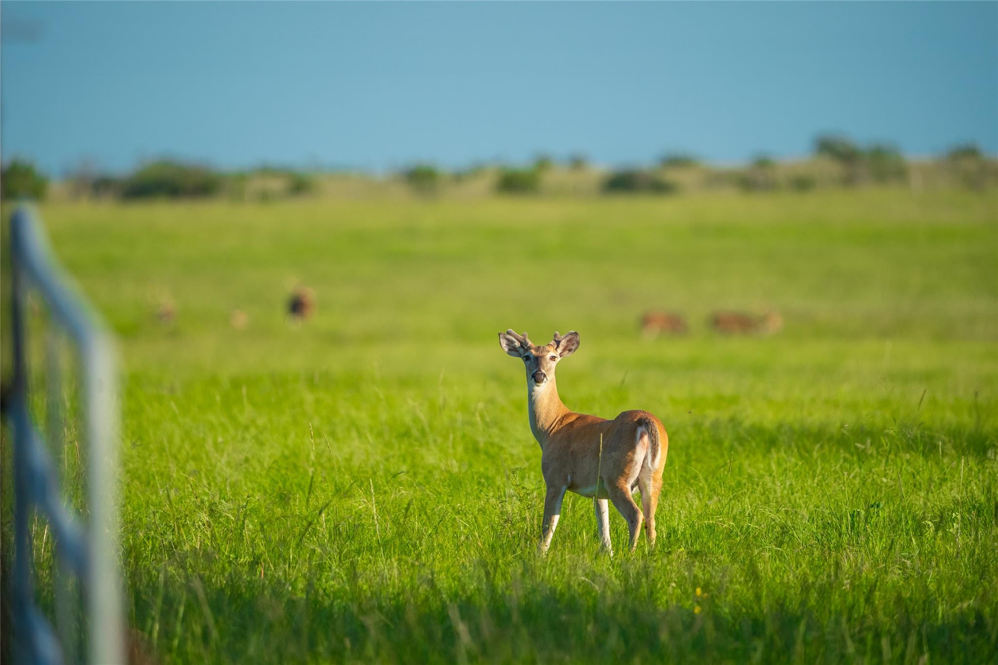 0 County Road 476 Rd, Brady, TX 76872