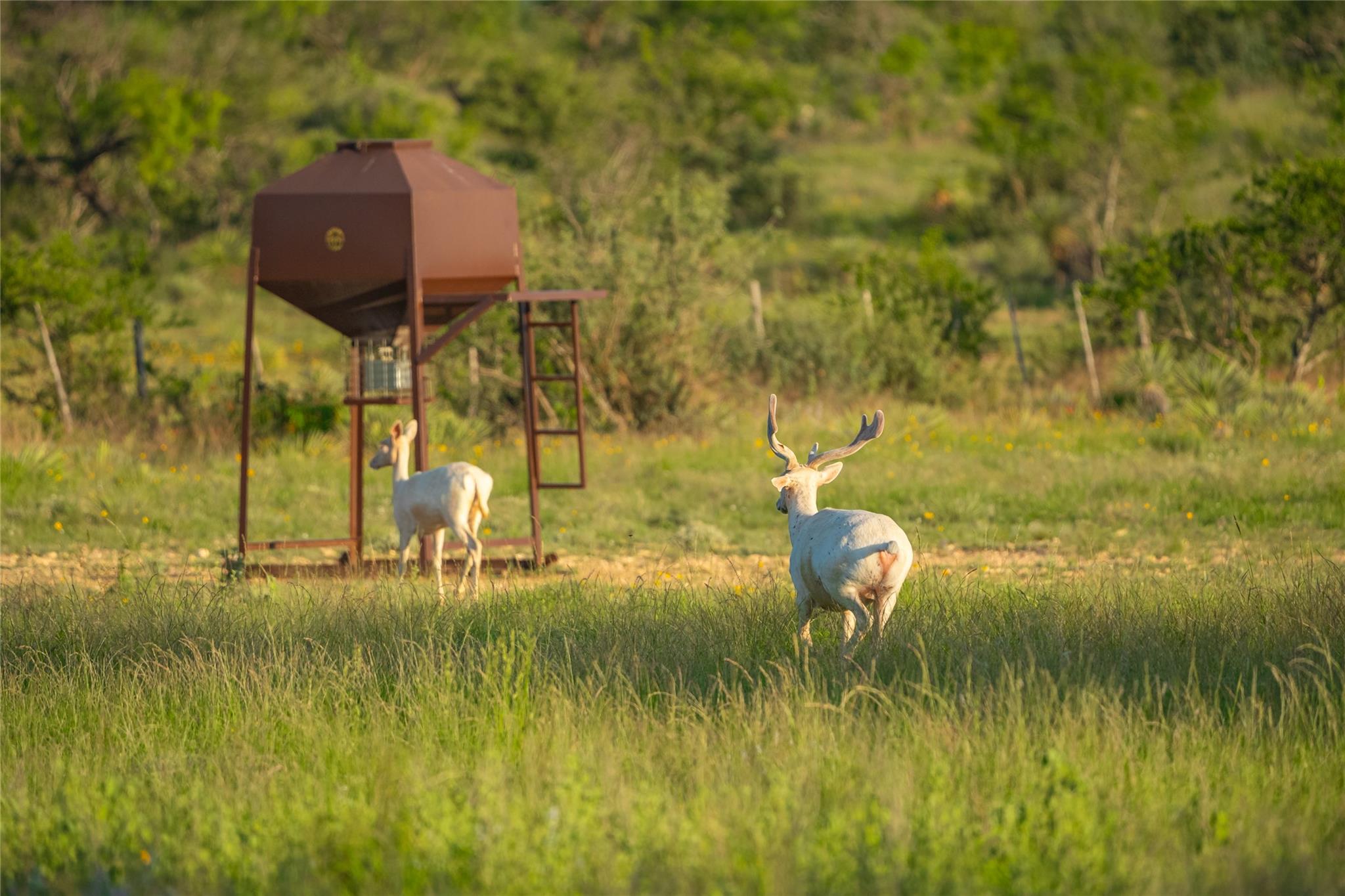 0 County Road 476 Rd, Brady, TX 76872