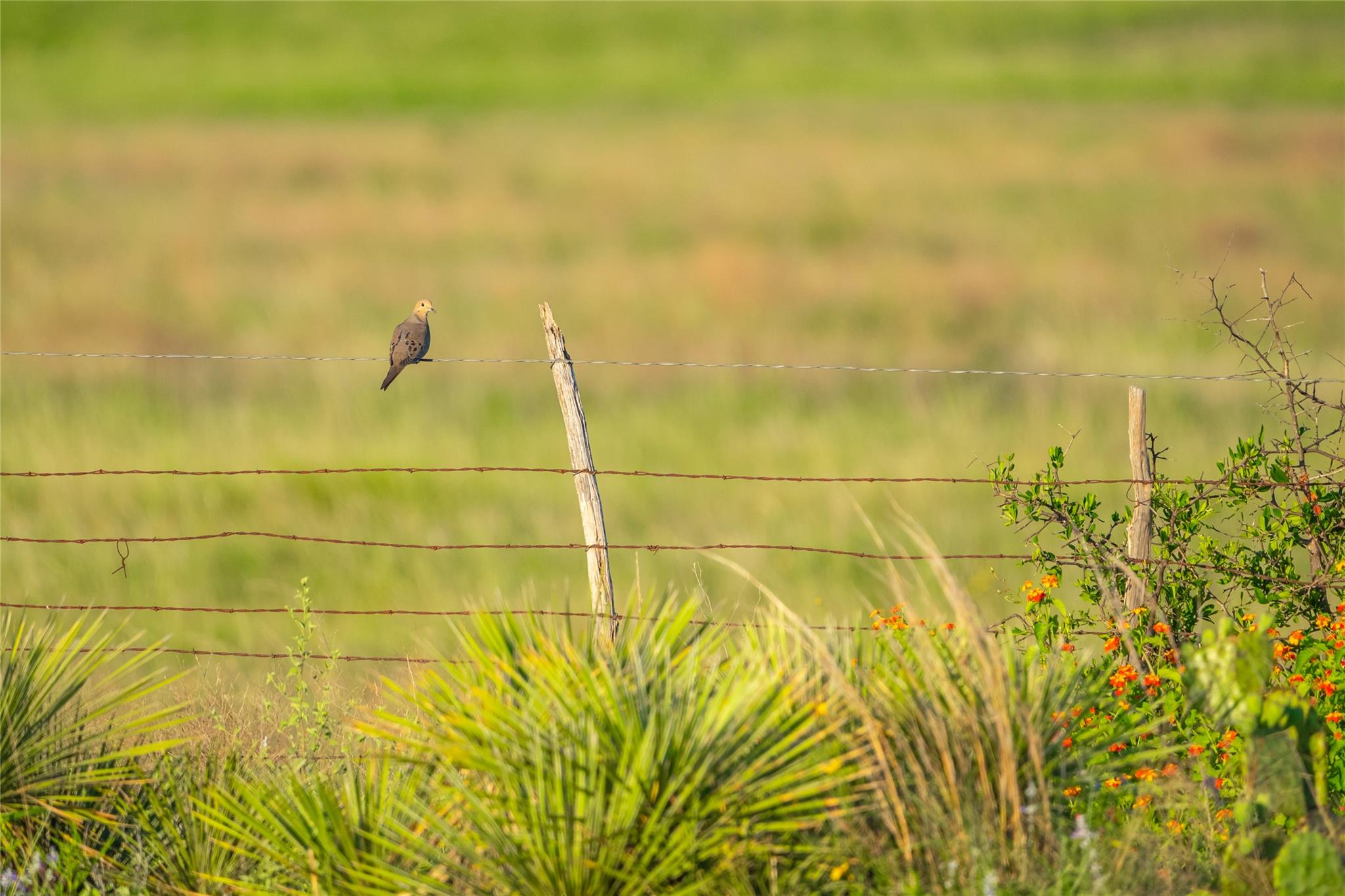 0 County Road 476 Rd, Brady, TX 76872