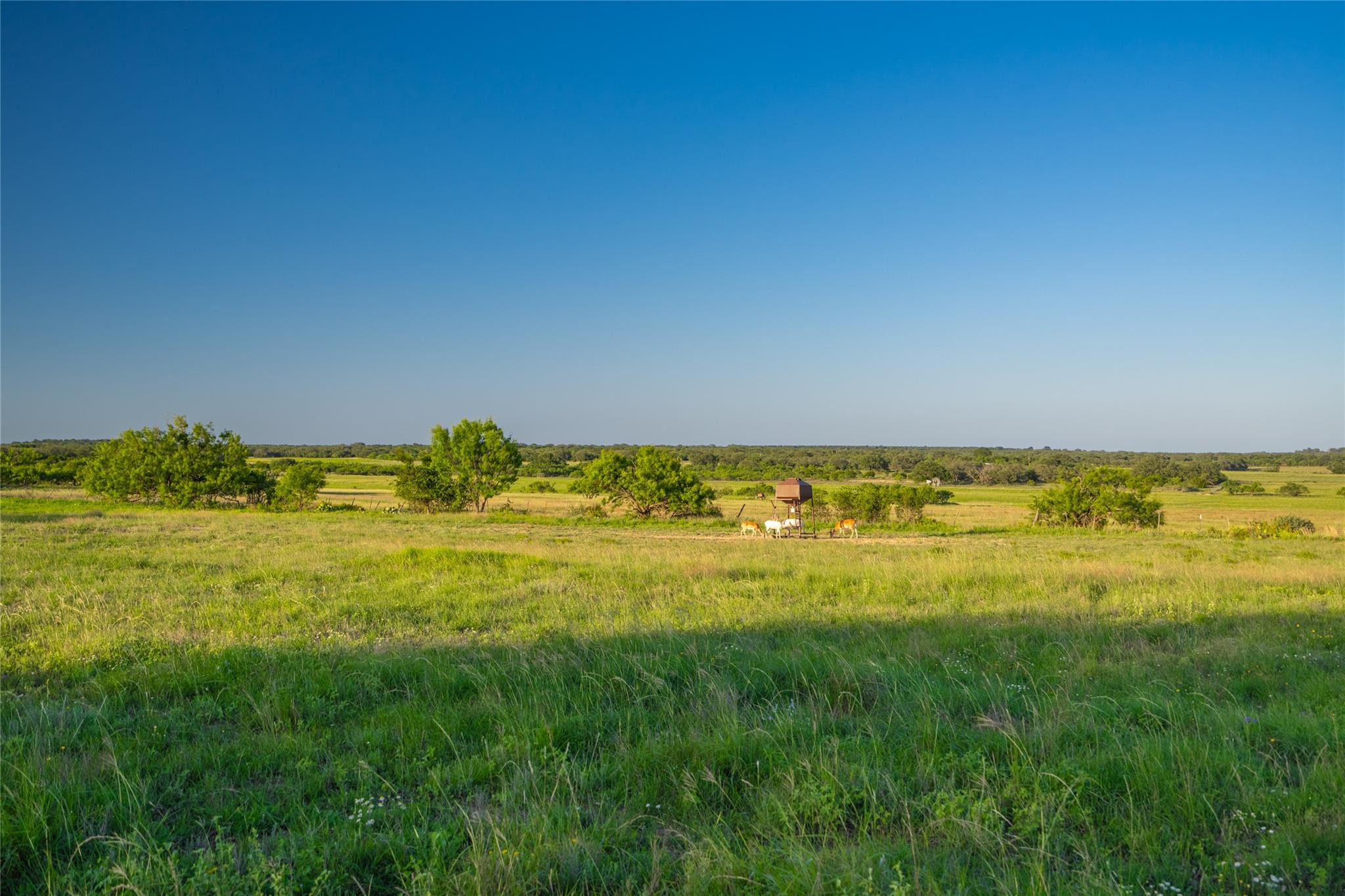 0 County Road 476 Rd, Brady, TX 76872