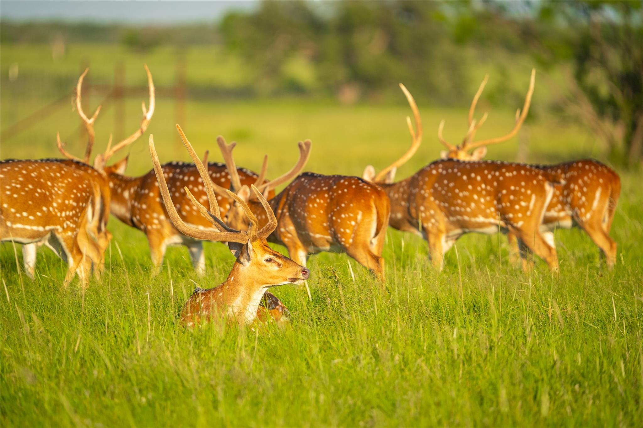 0 County Road 476 Rd, Brady, TX 76872