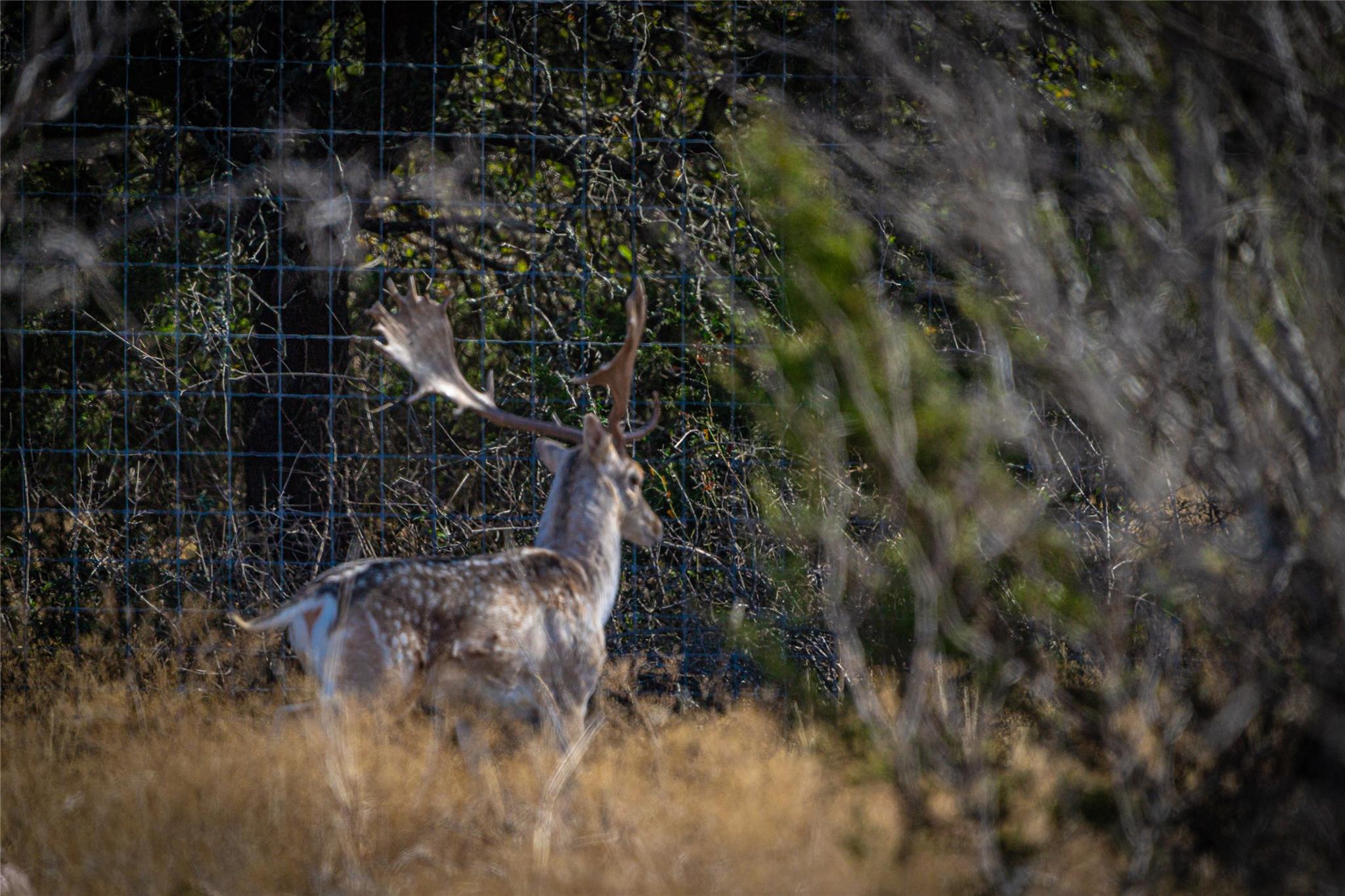 0 County Road 476 Rd, Brady, TX 76872
