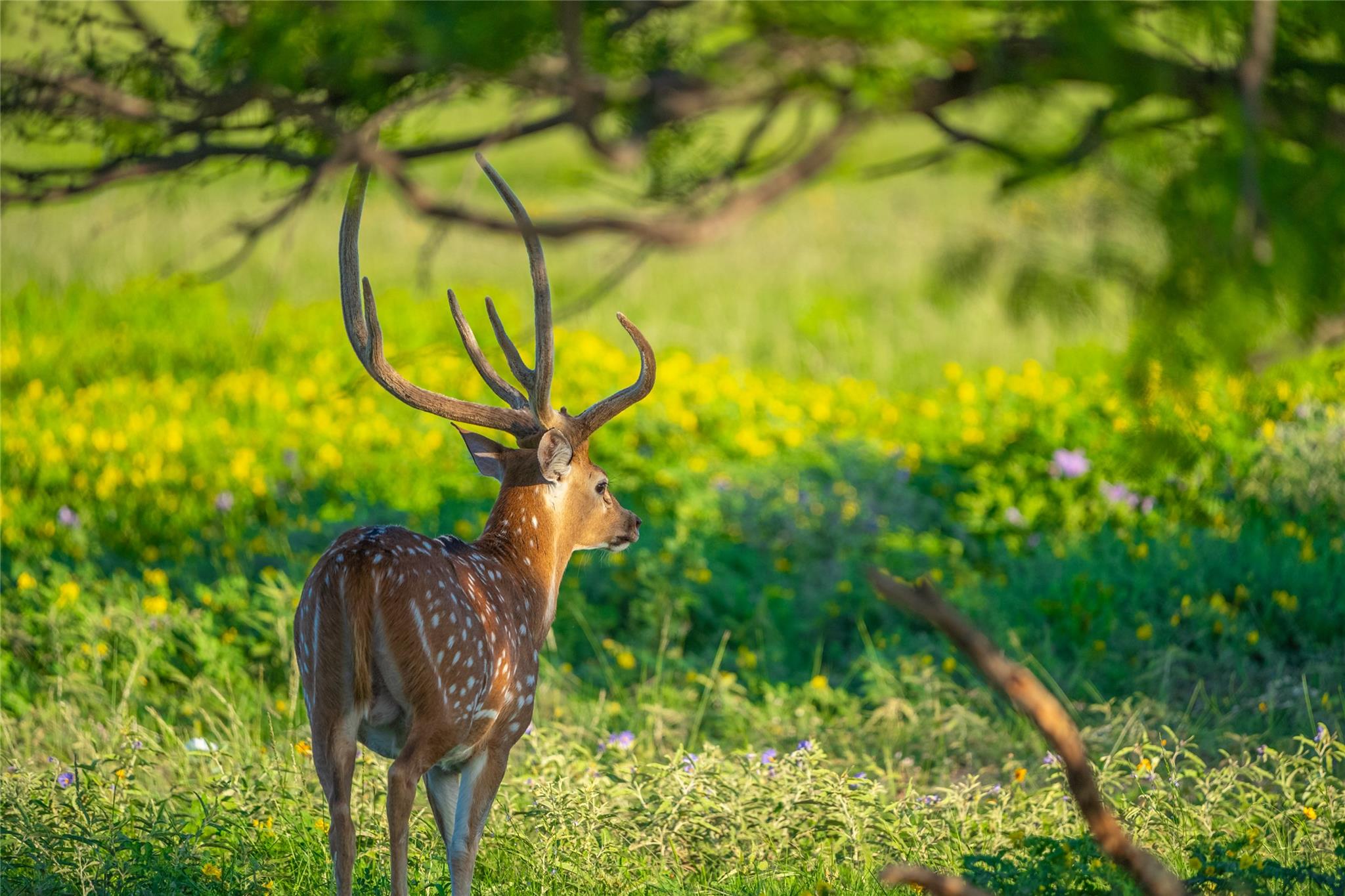 0 County Road 476 Rd, Brady, TX 76872