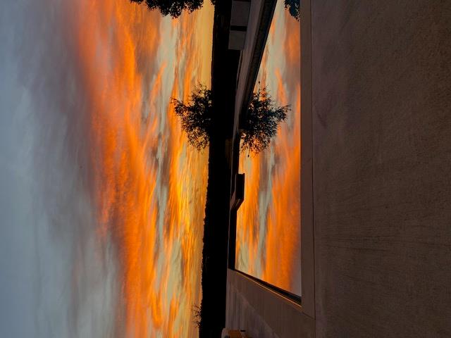 343 Pug Rippy Rd, Dripping Springs, TX 78620