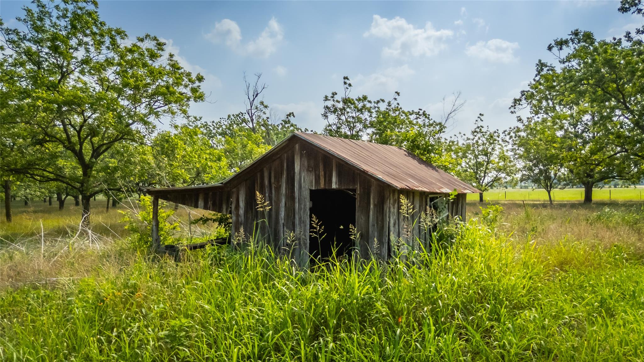 452 Ponderosa Rd, Bastrop, TX 78602