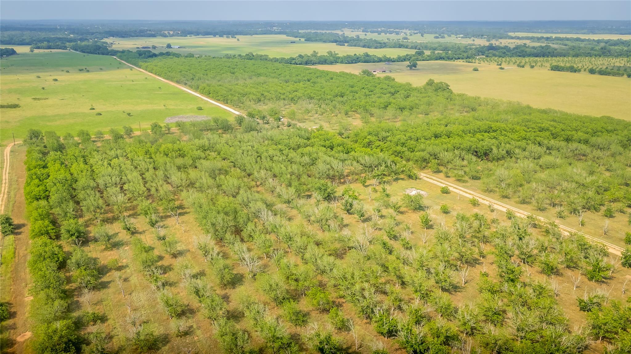 452 Ponderosa Rd, Bastrop, TX 78602