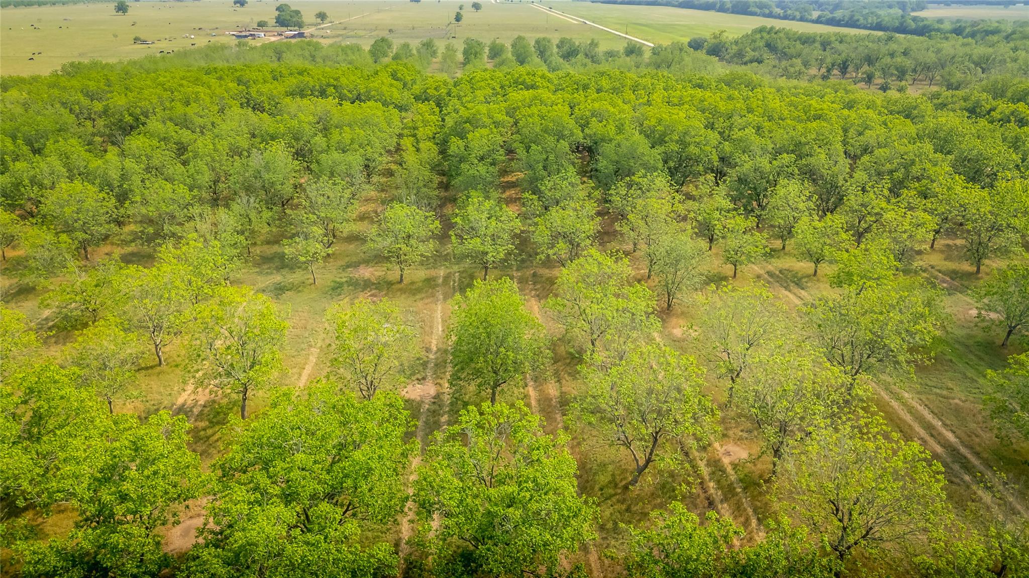 452 Ponderosa Rd, Bastrop, TX 78602