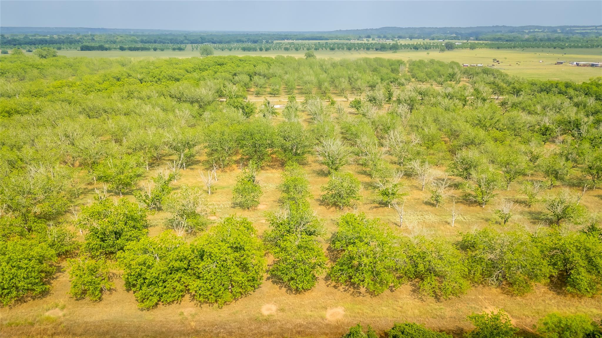 452 Ponderosa Rd, Bastrop, TX 78602