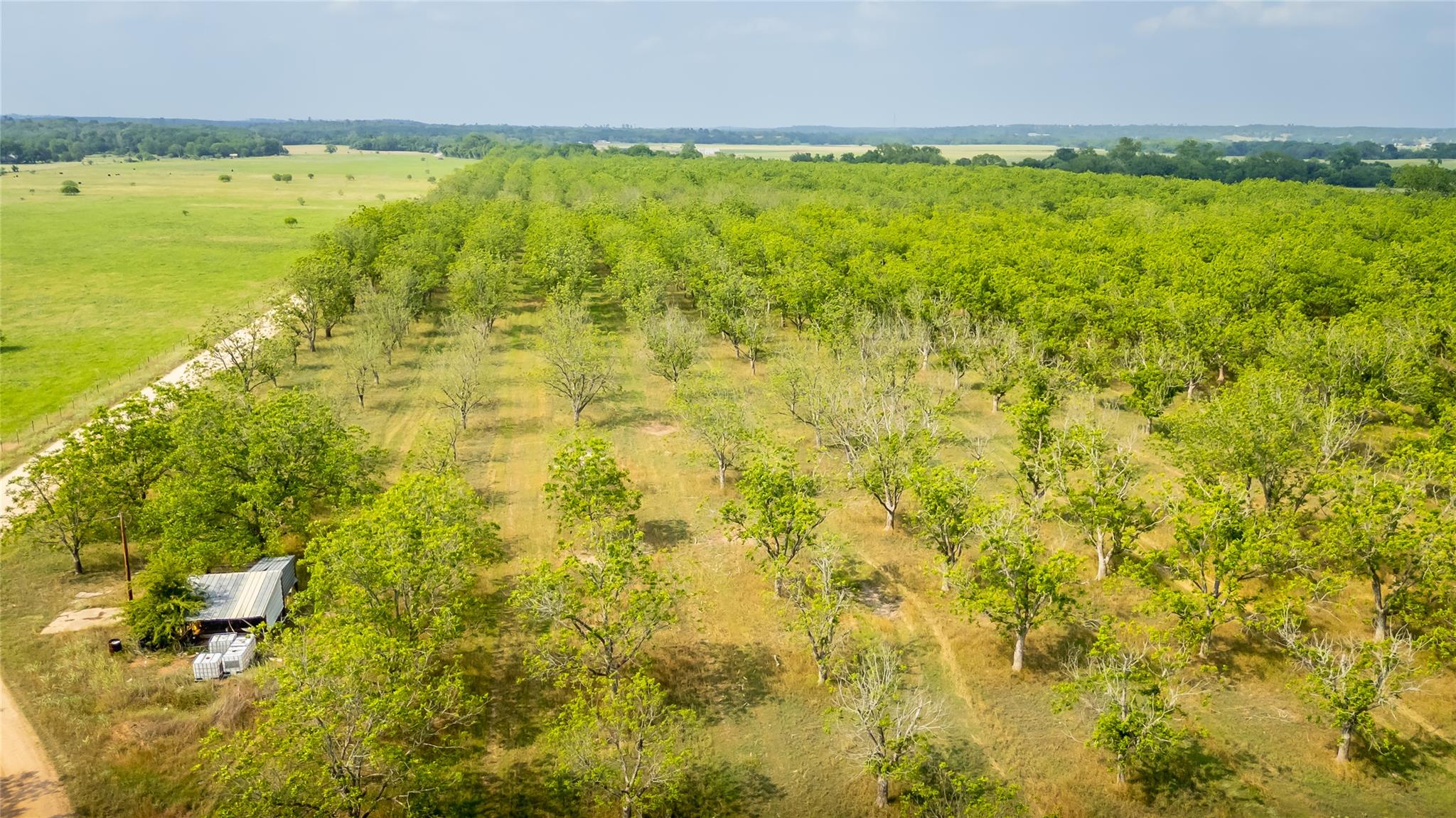 452 Ponderosa Rd, Bastrop, TX 78602