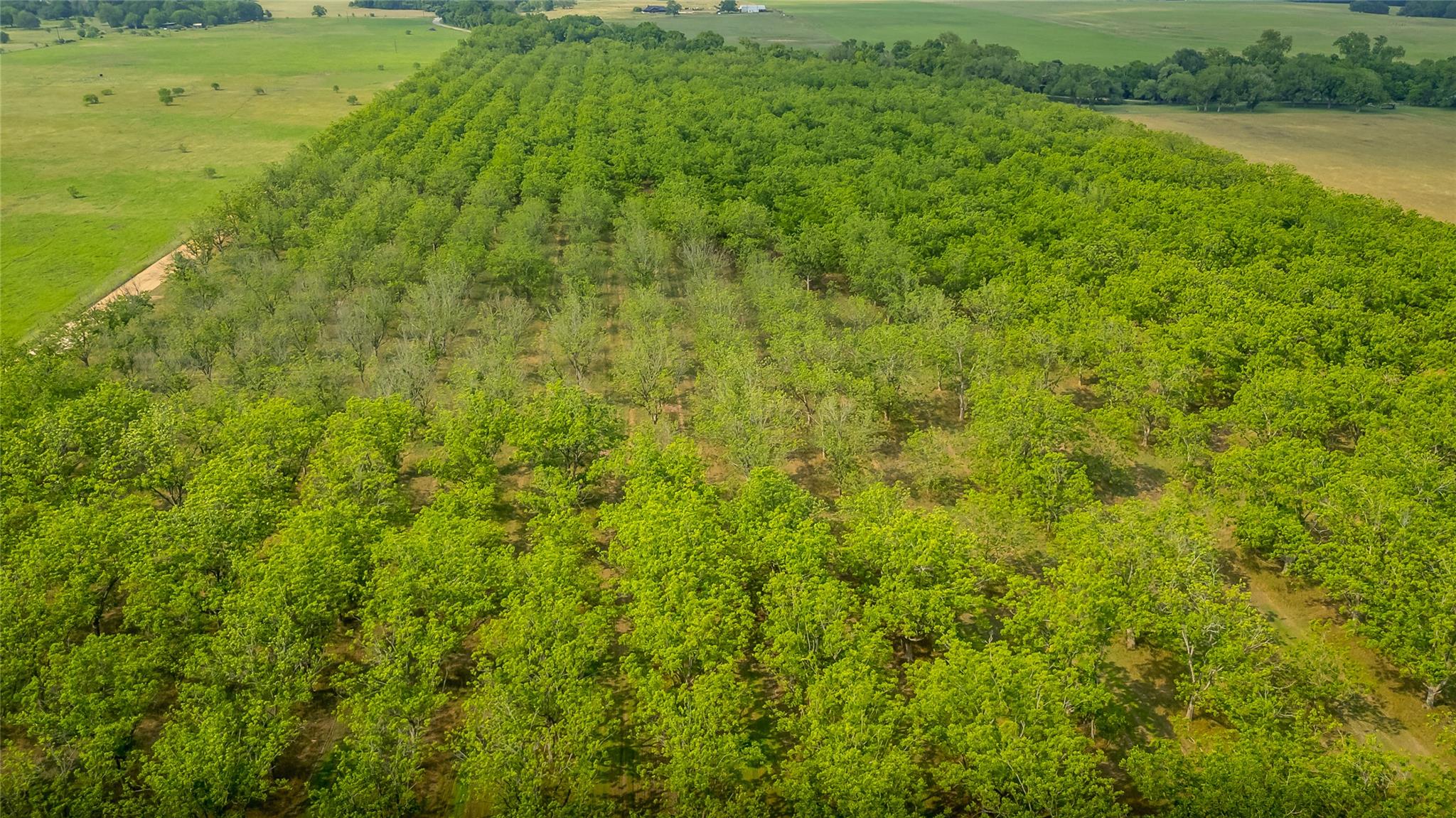 452 Ponderosa Rd, Bastrop, TX 78602