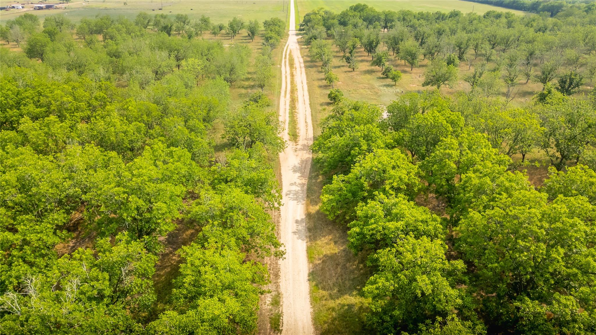 452 Ponderosa Rd, Bastrop, TX 78602