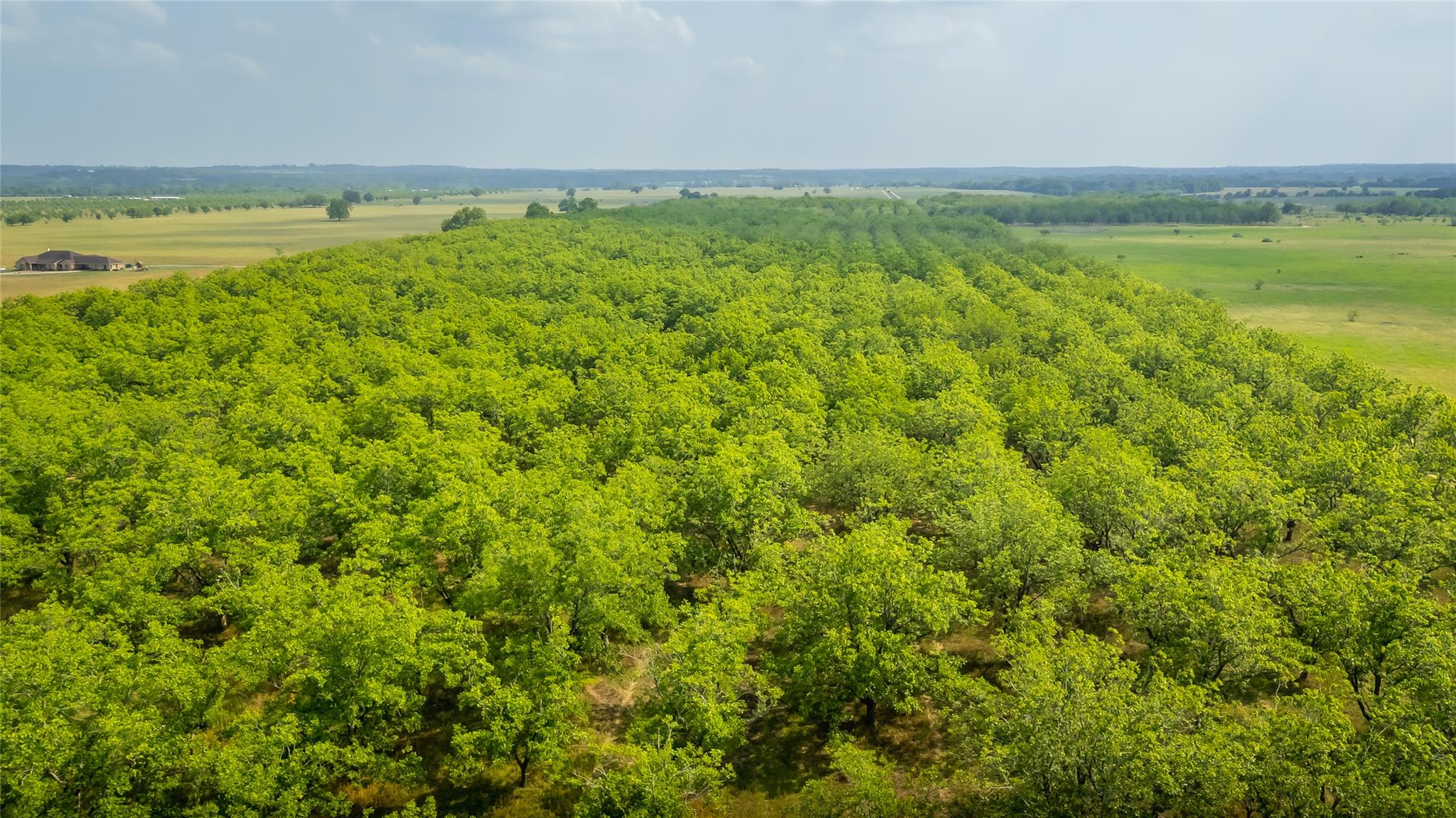 452 Ponderosa Rd, Bastrop, TX 78602