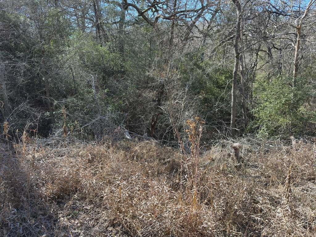 TBD Bali Hai Ln, Bastrop, TX 78602