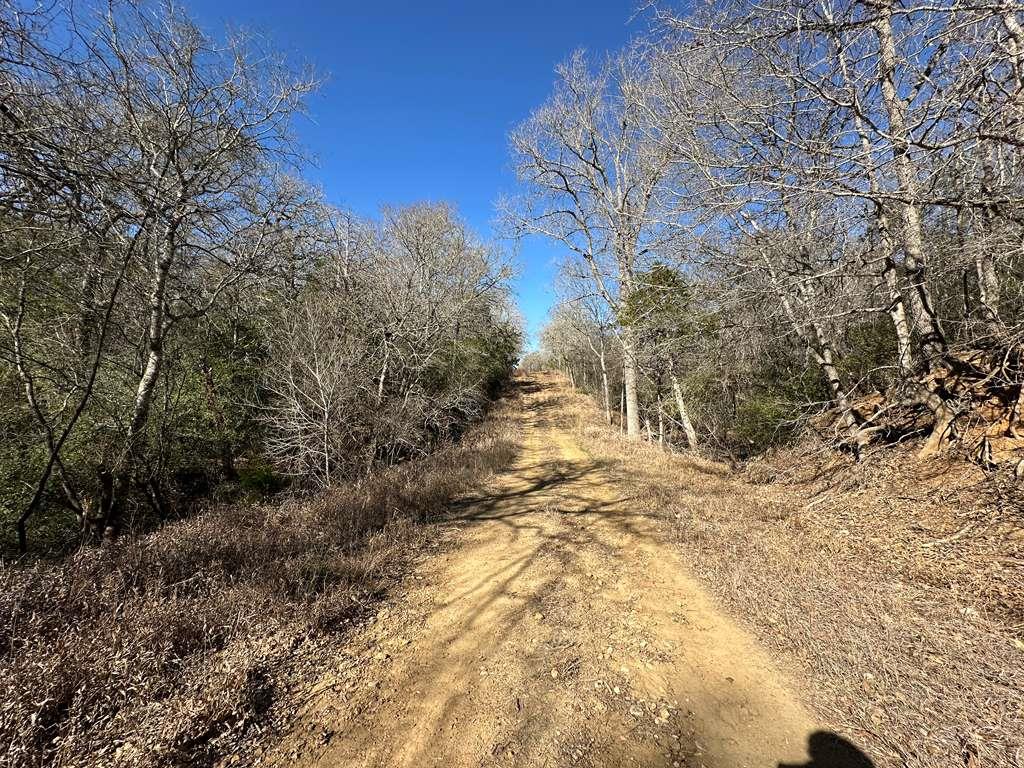 TBD Bali Hai Ln, Bastrop, TX 78602