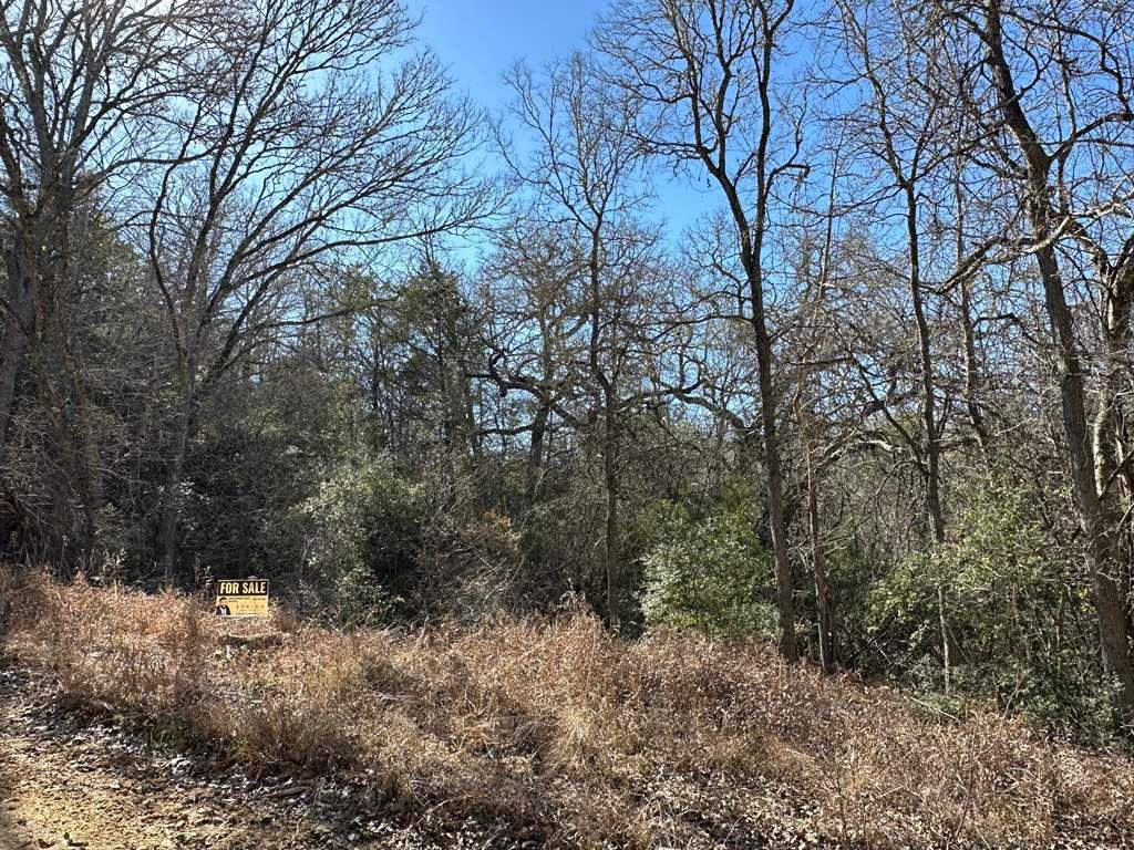 TBD Bali Hai Ln, Bastrop, TX 78602