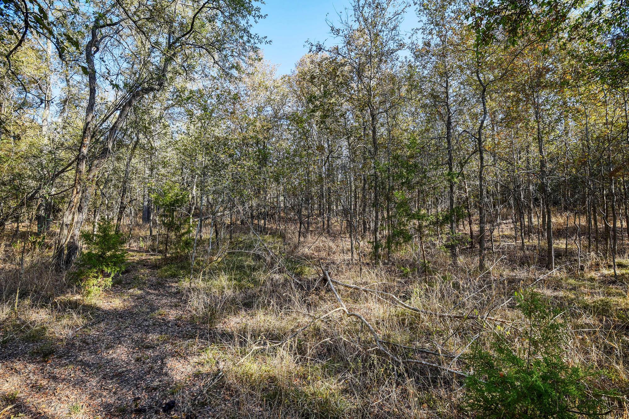 183 Clover Rd, Cedar Creek, TX 78612