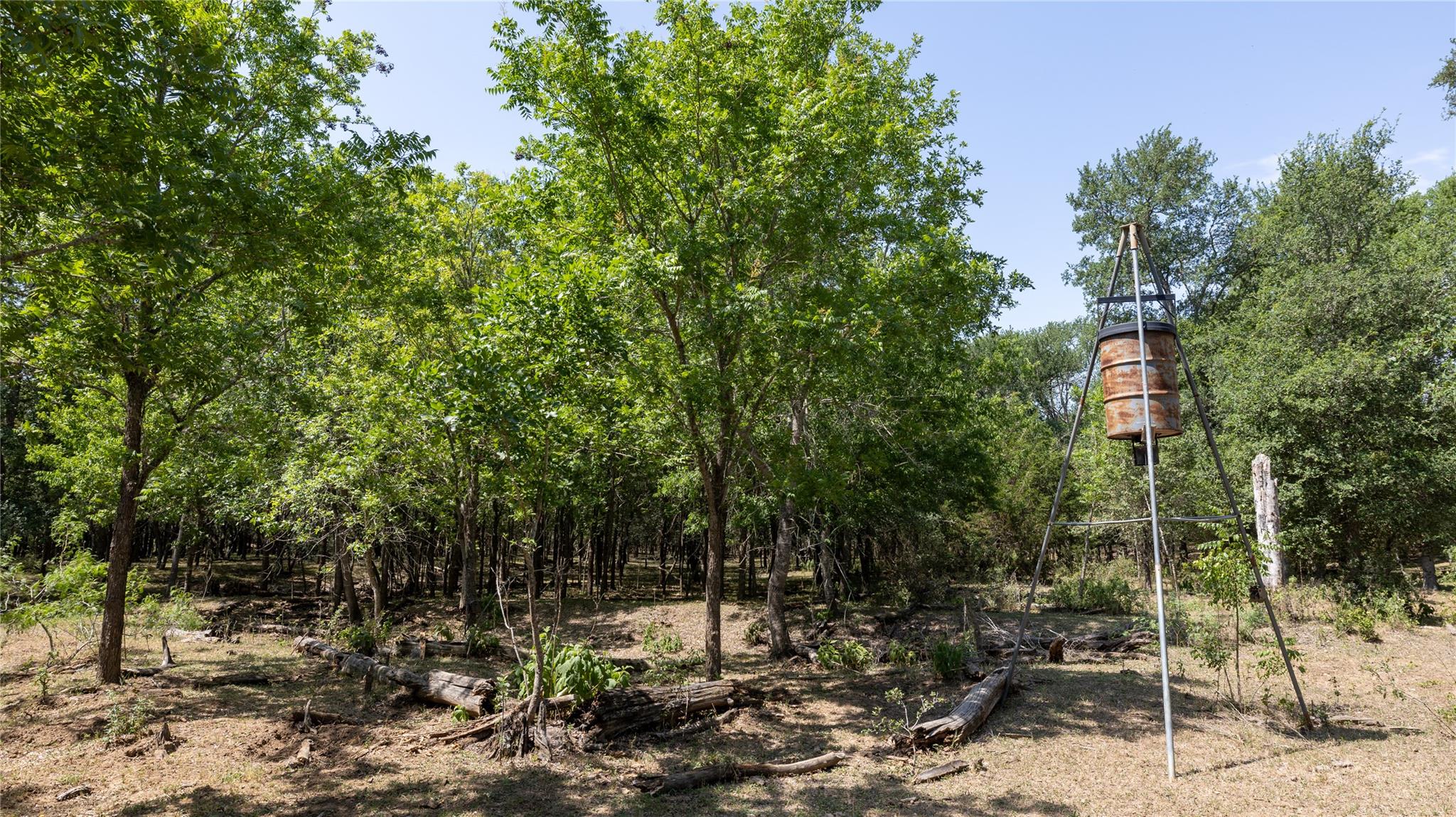 1400 Seminole Trl, Dale, TX 78616