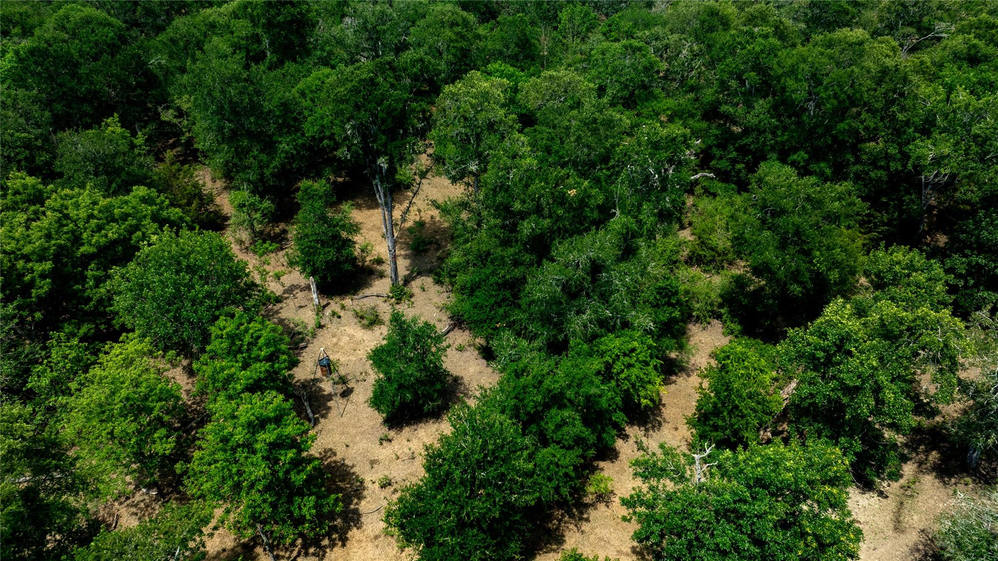 1400 Seminole Trl, Dale, TX 78616