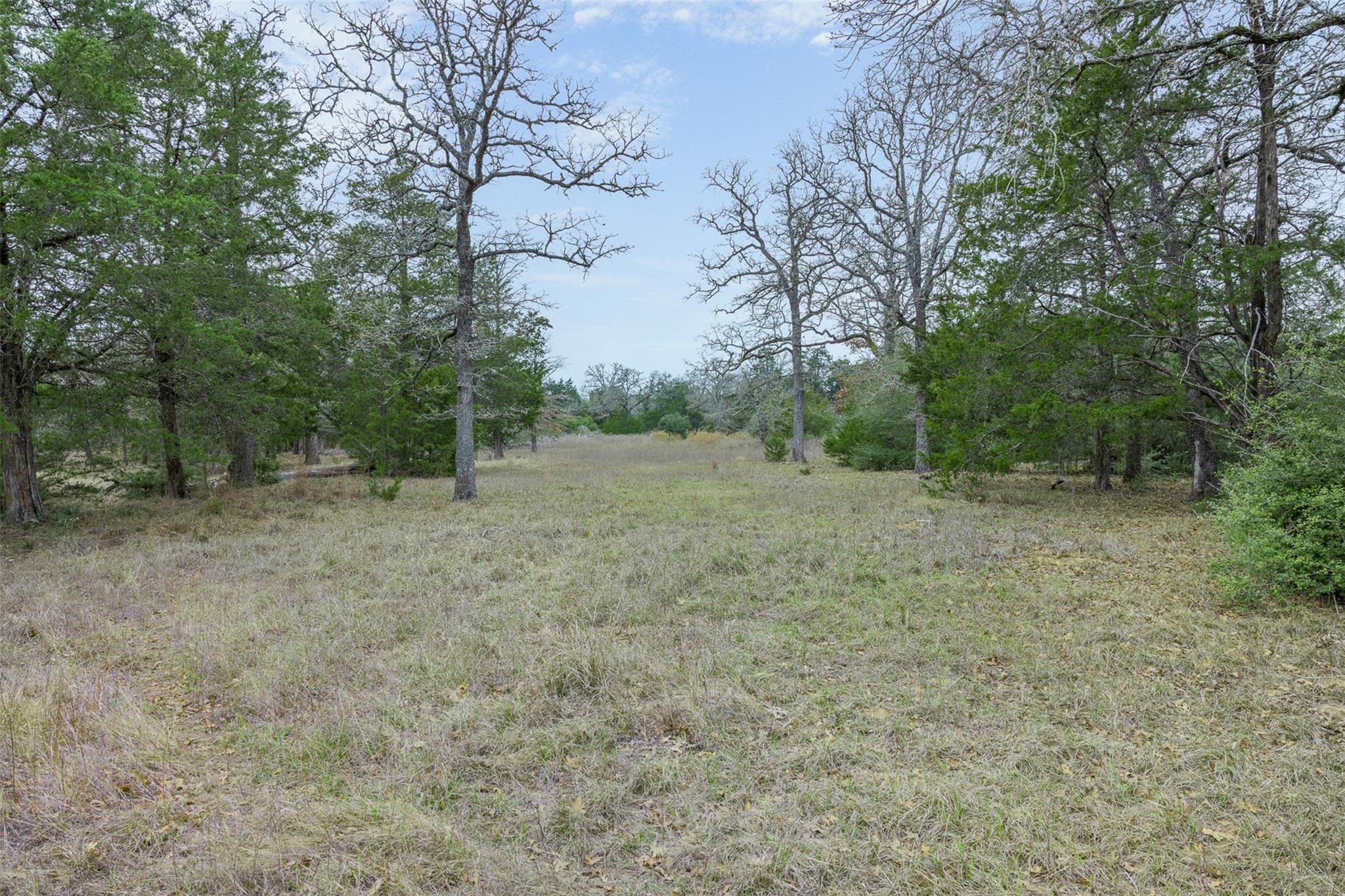 150 Turner Ln, Paige, TX 78659