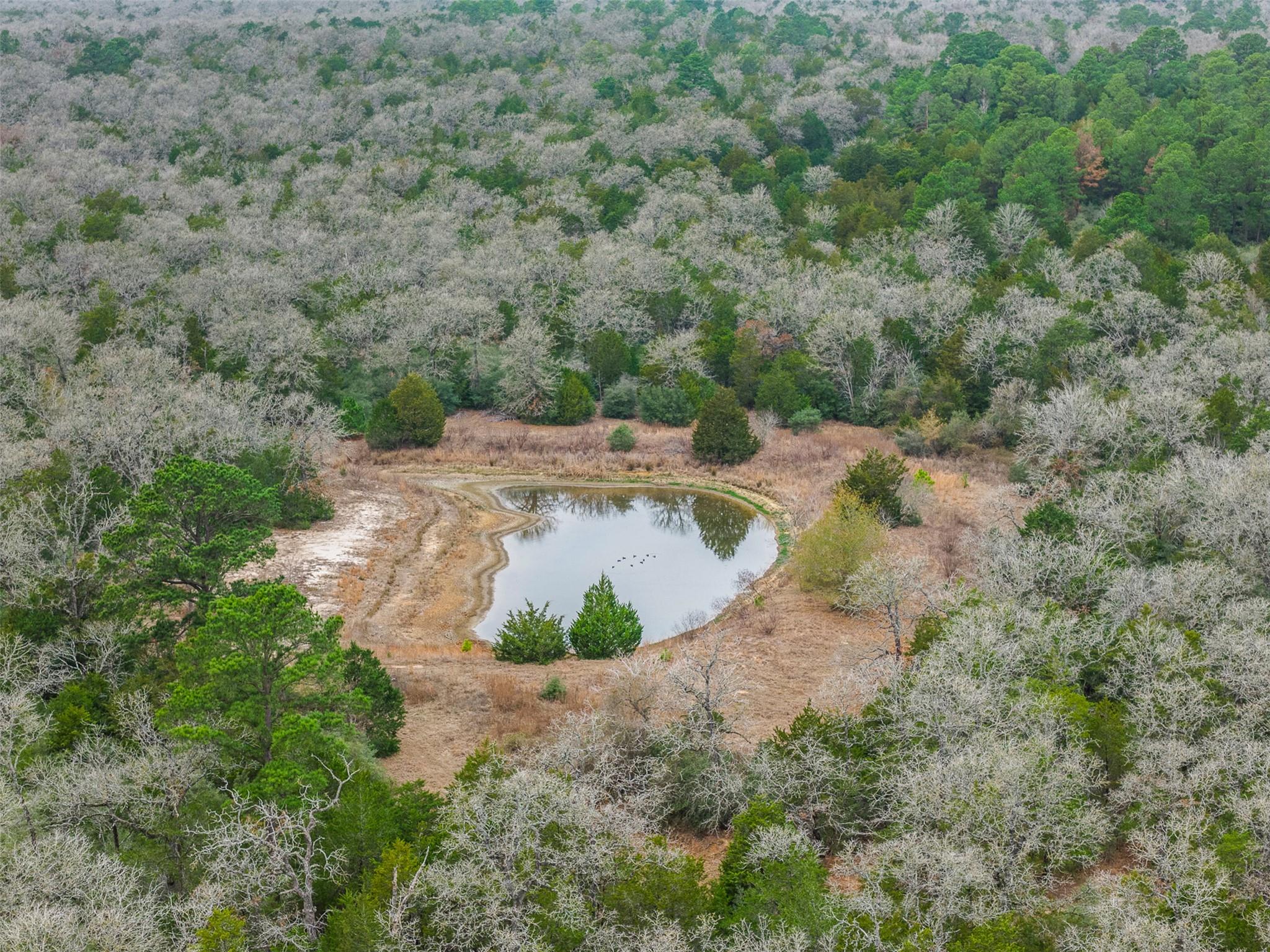 150 Turner Ln, Paige, TX 78659