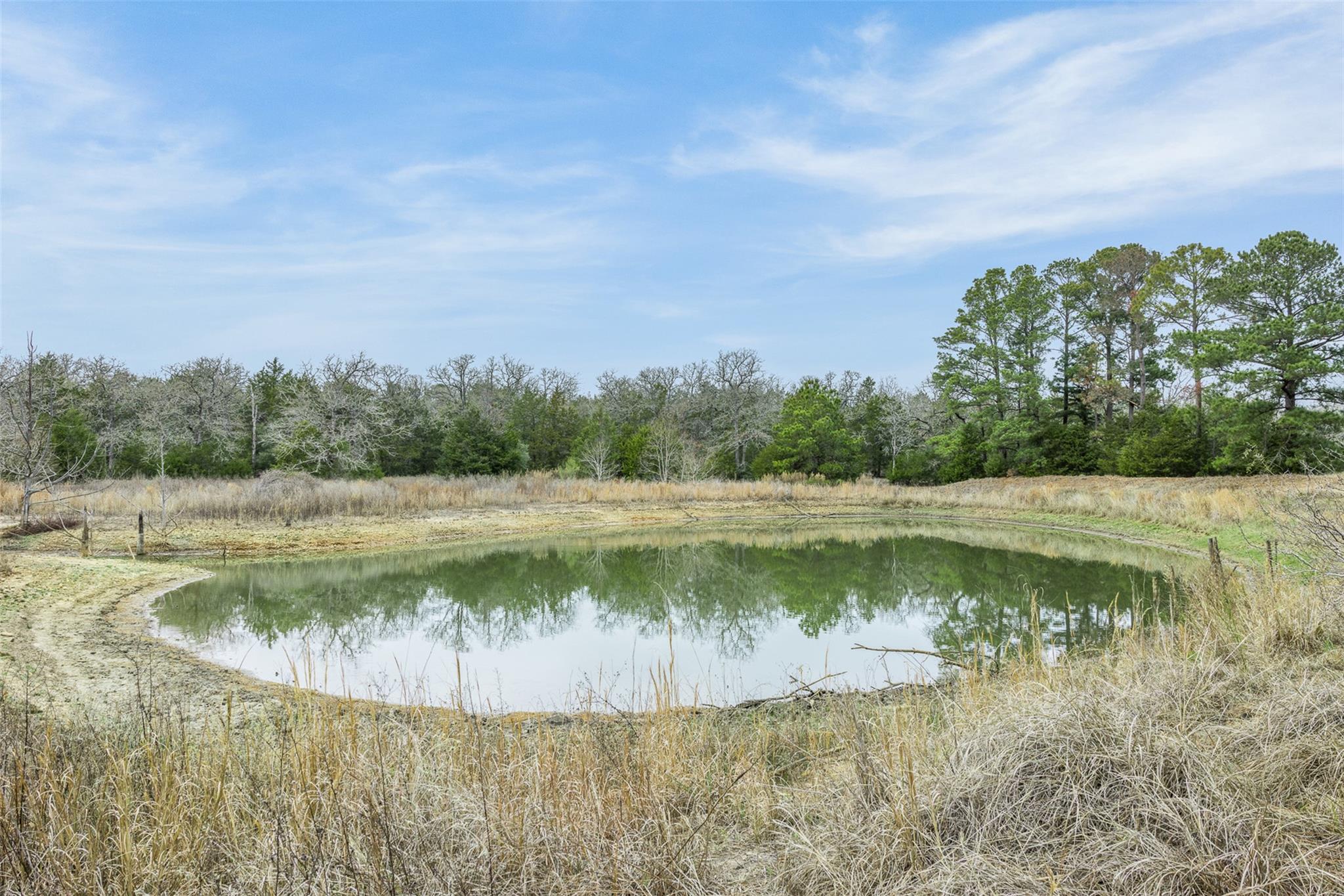 150 Turner Ln, Paige, TX 78659