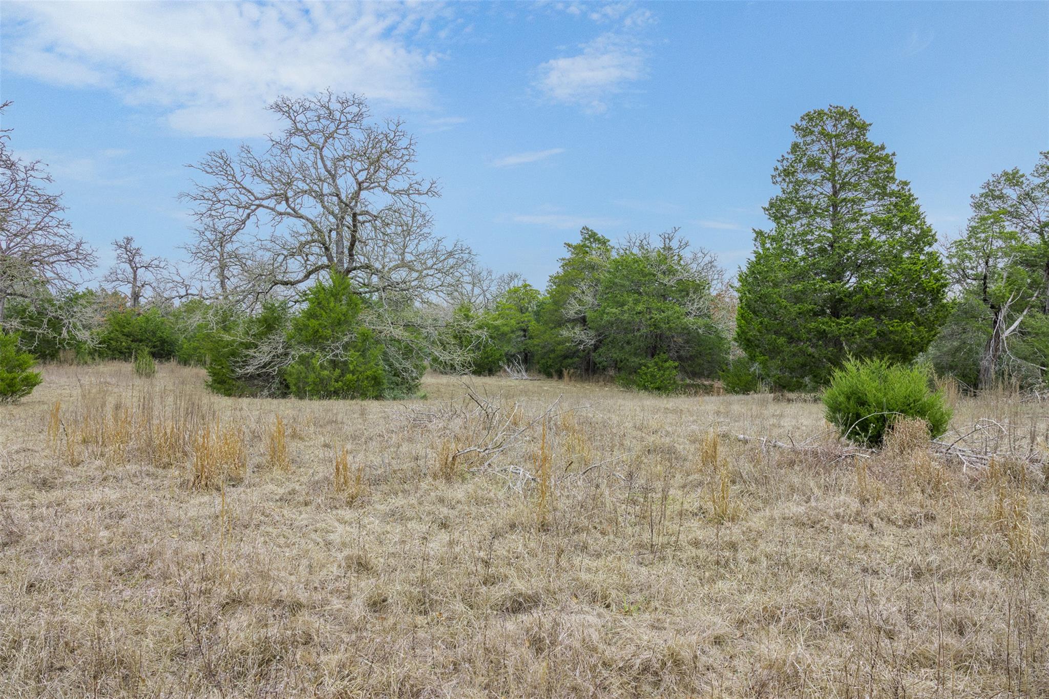 150 Turner Ln, Paige, TX 78659