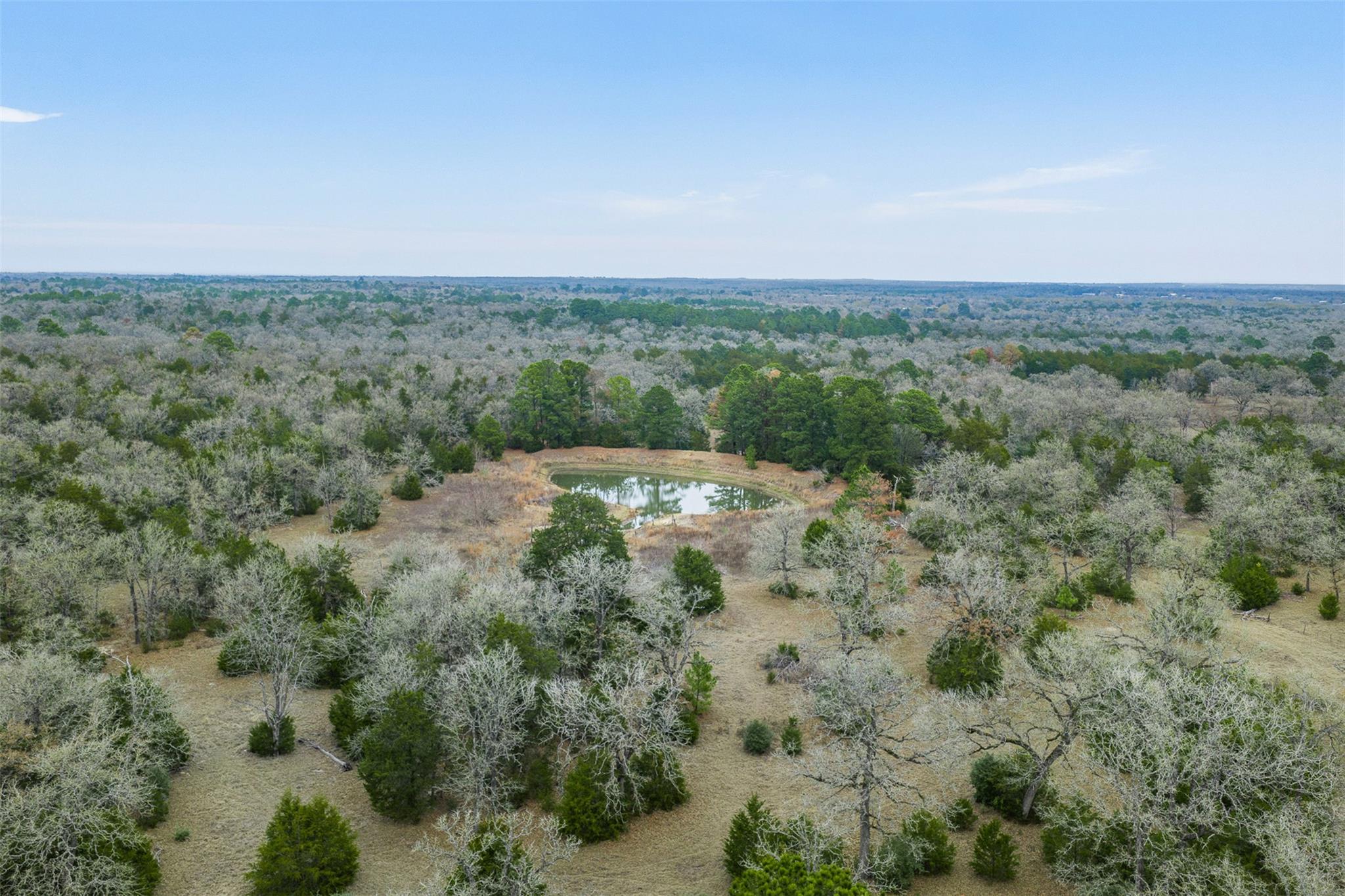 150 Turner Ln, Paige, TX 78659
