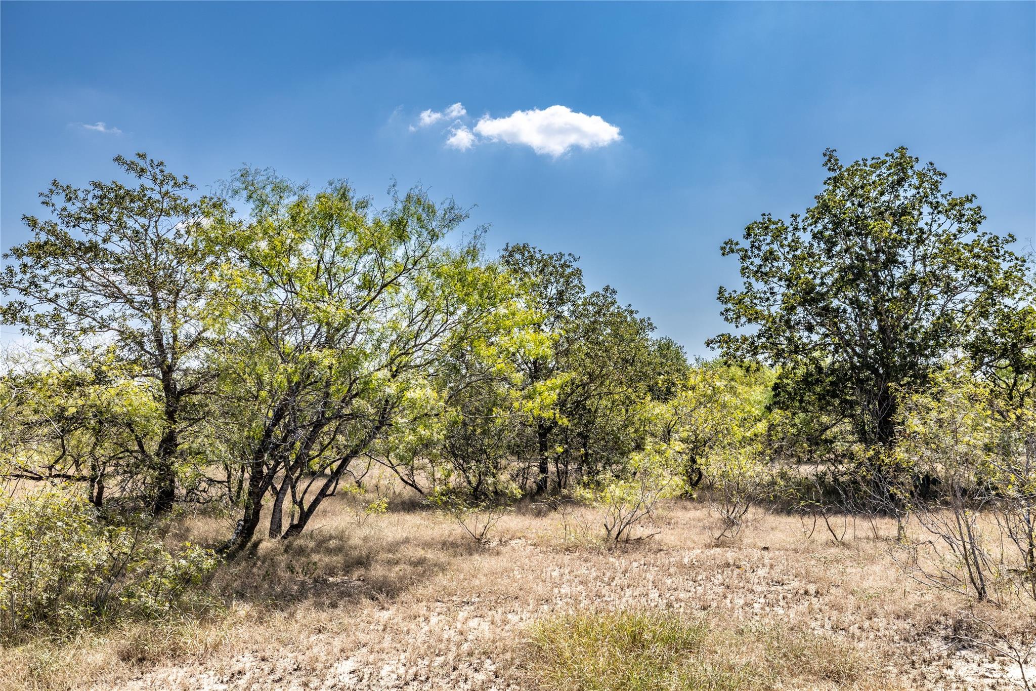 TBD Lot 4 Track Road Rd, Dale, TX 78616