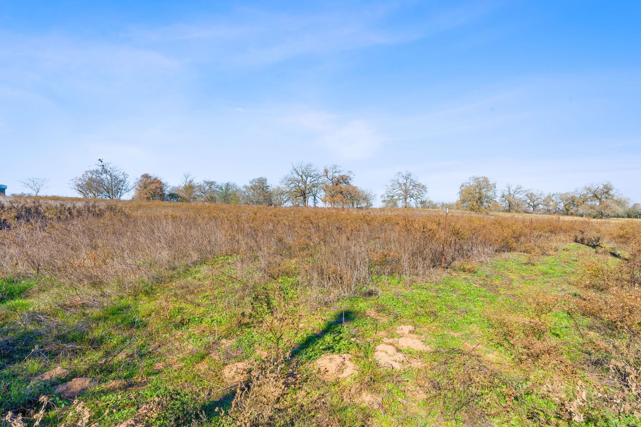 10996 US Highway 90 W, Harwood, TX 78632