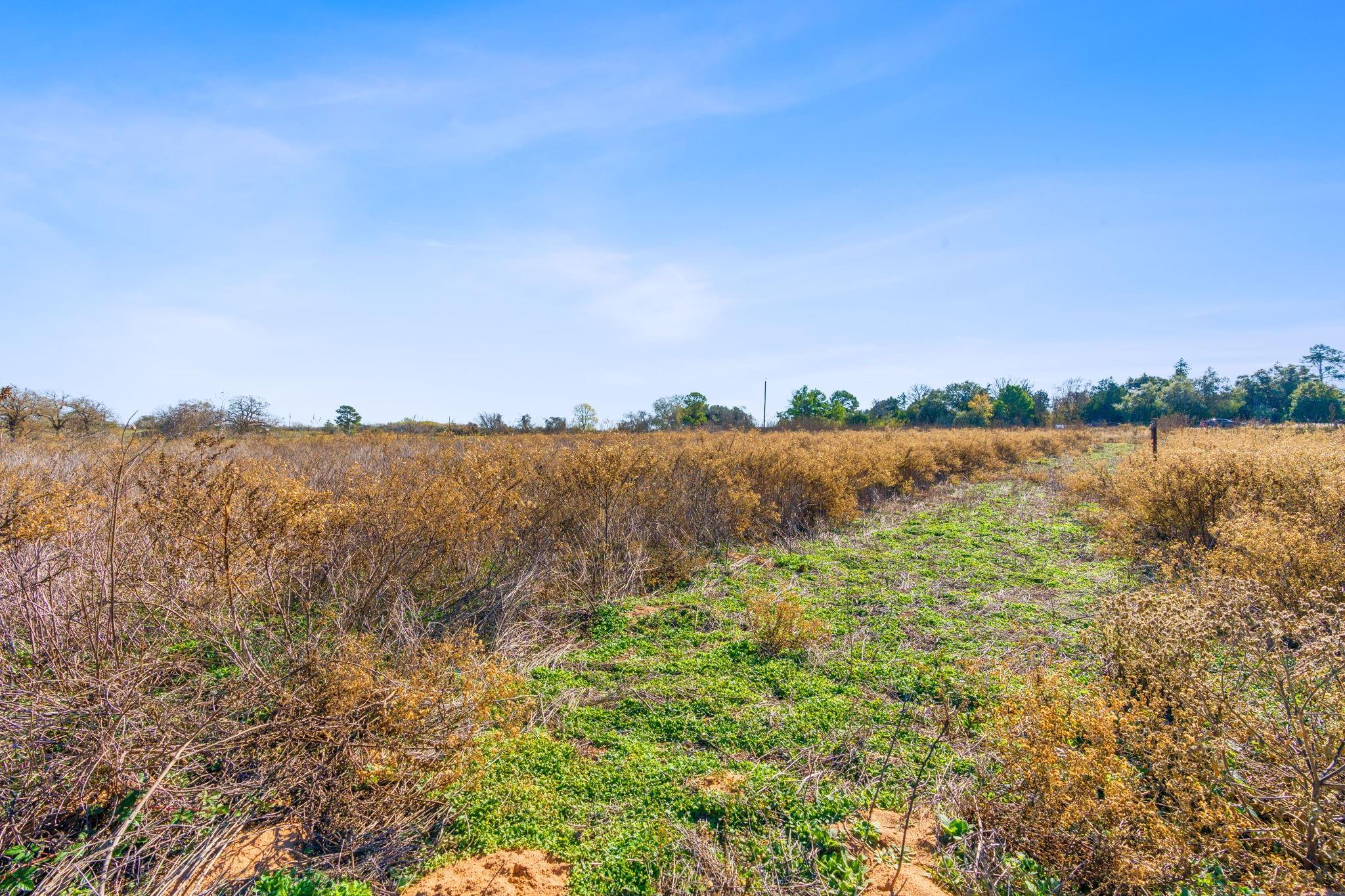 10996 US Highway 90 W, Harwood, TX 78632