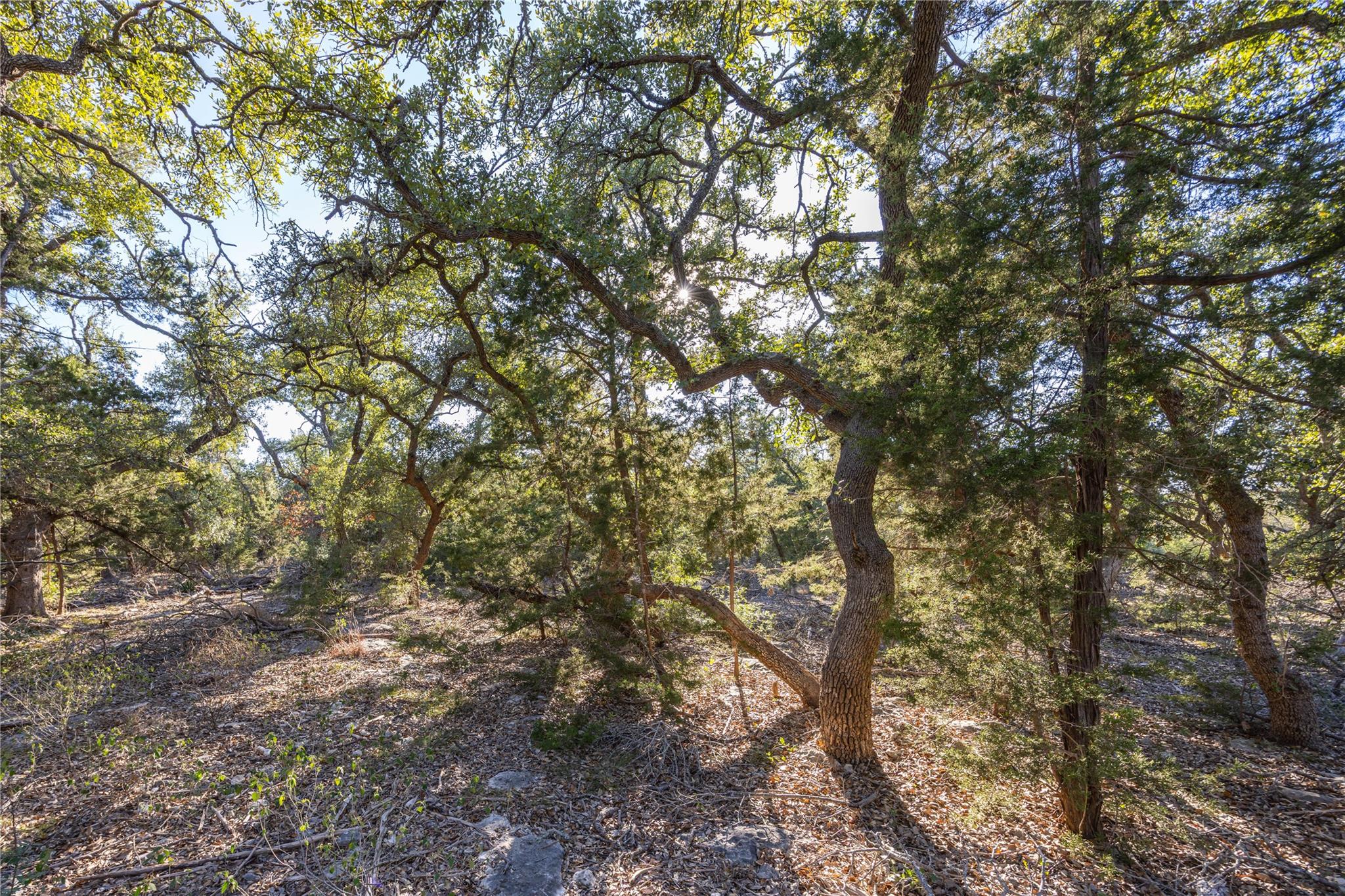 130 Panorama Dr, Wimberley, TX 78676
