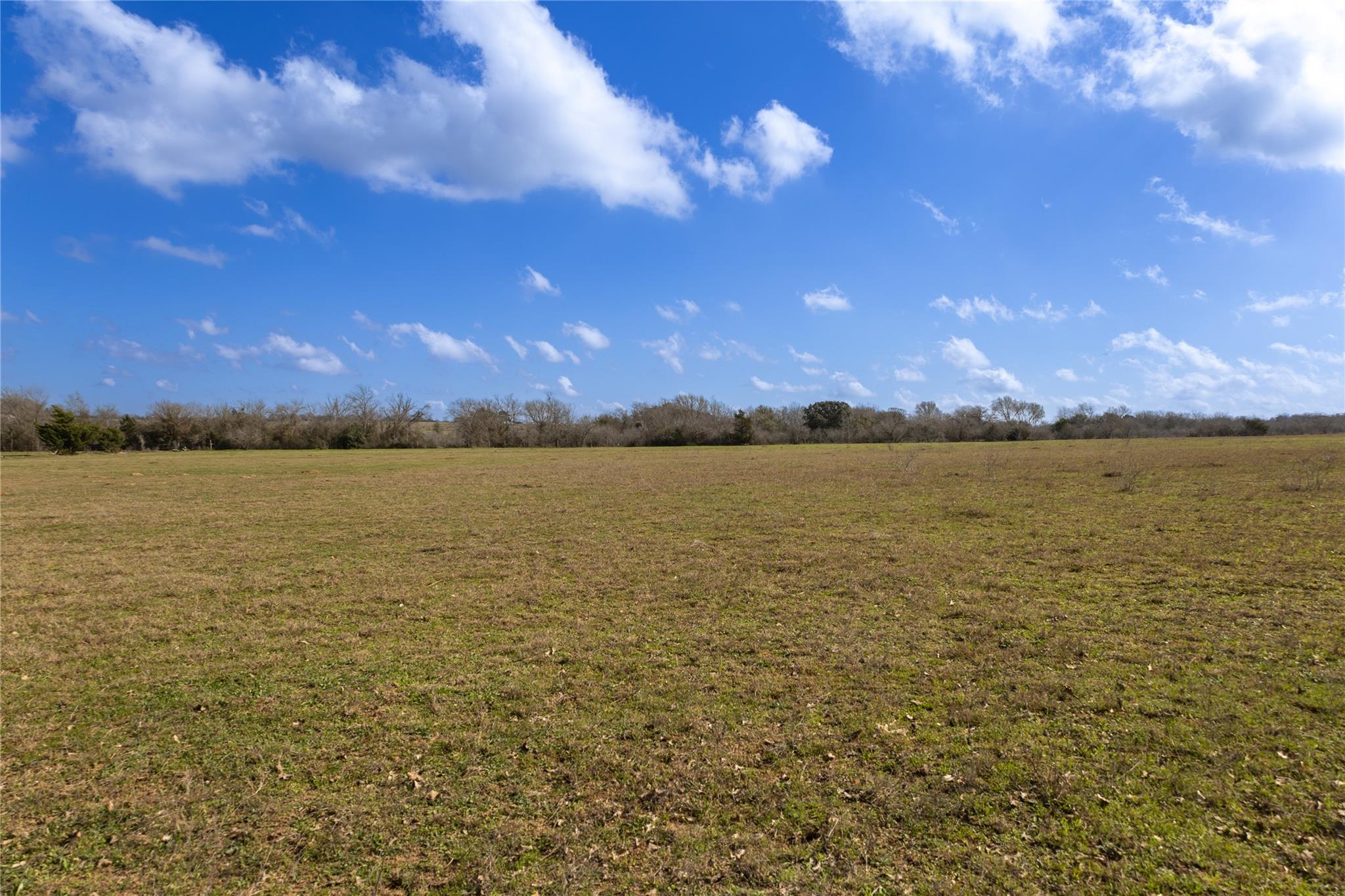 Lot 7 Mule Creek Rd, Harwood, TX 78629