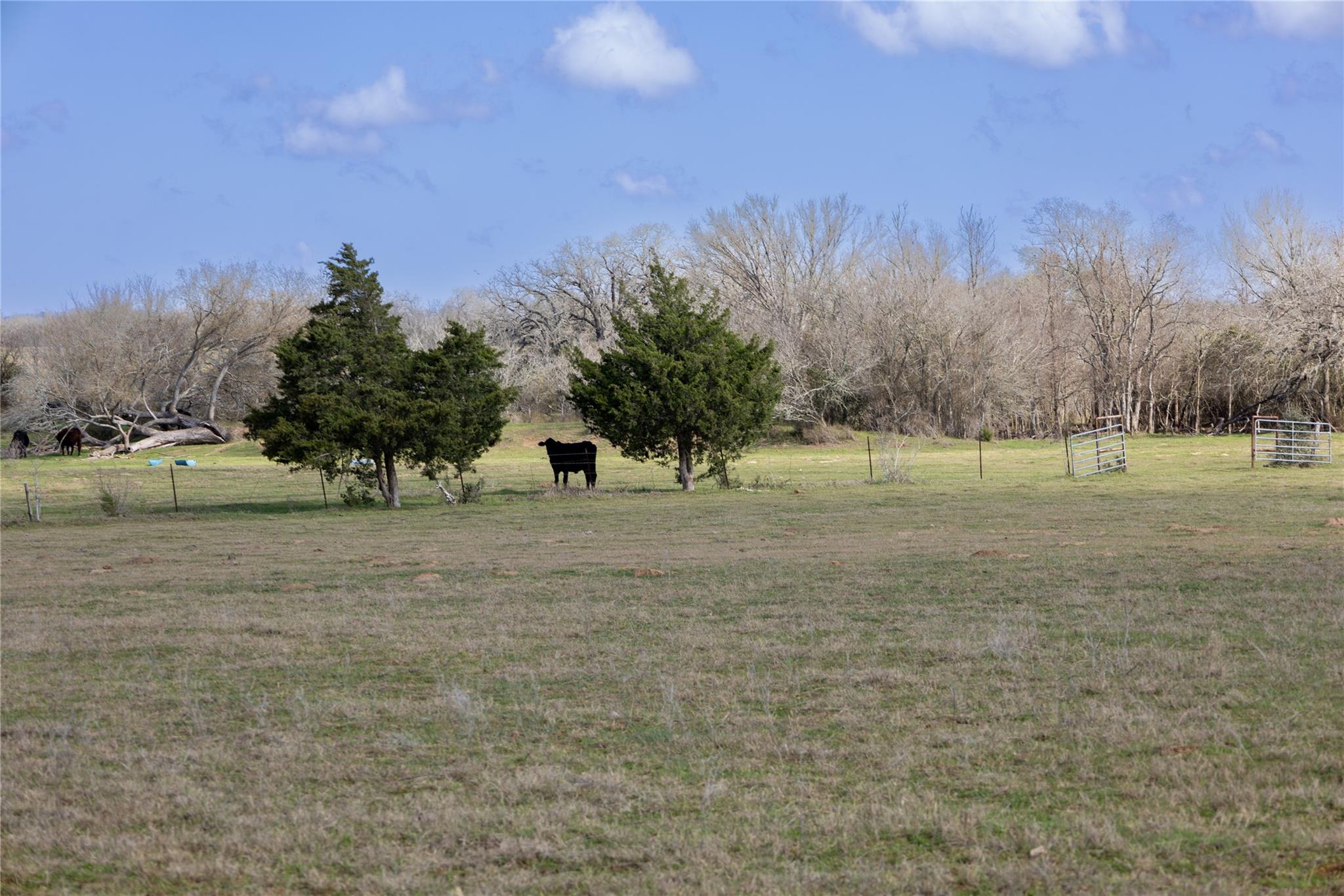 Lot 7 Mule Creek Rd, Harwood, TX 78629
