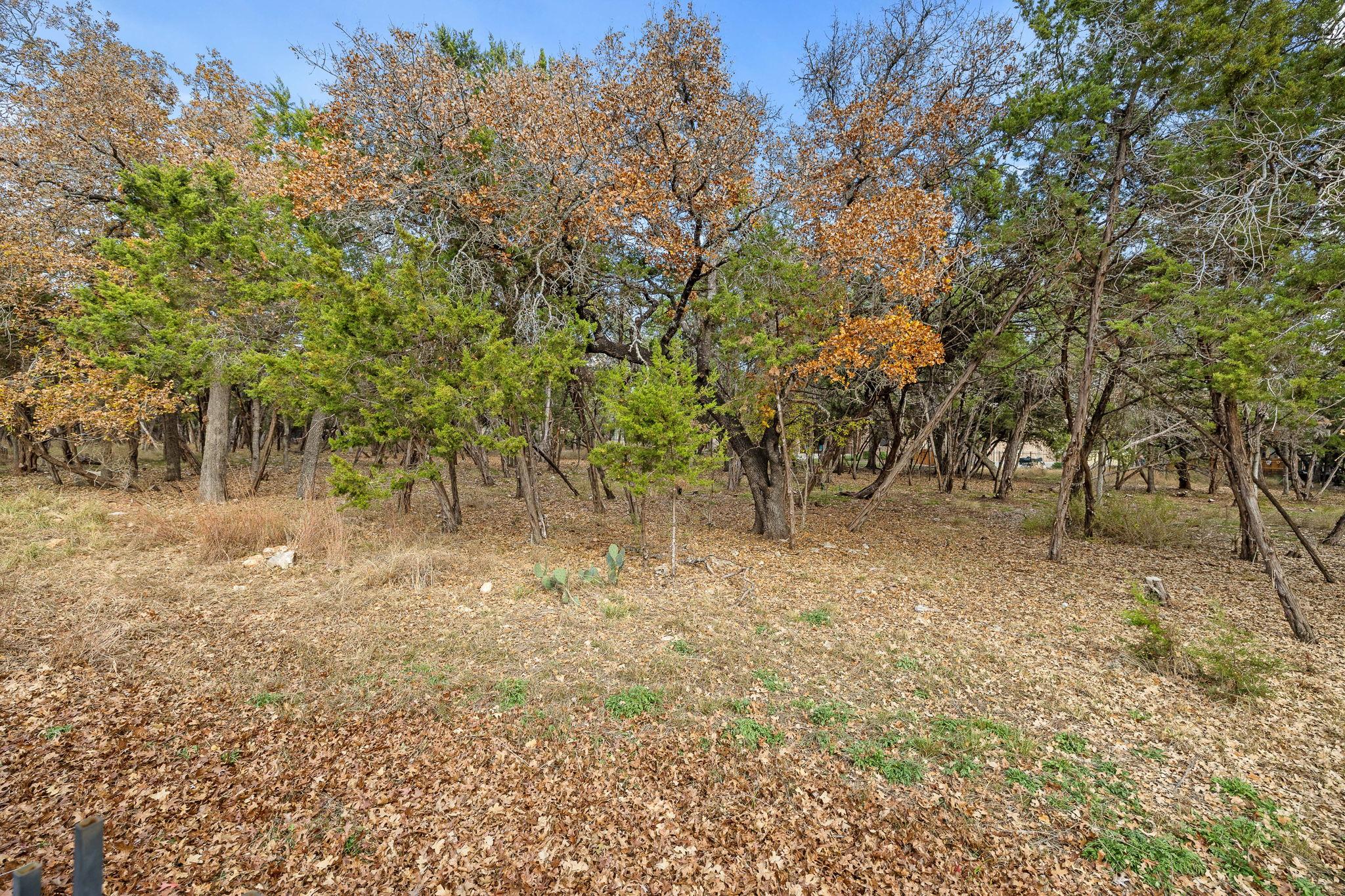 3948 Sapphire Loop, Round Rock, TX 78681