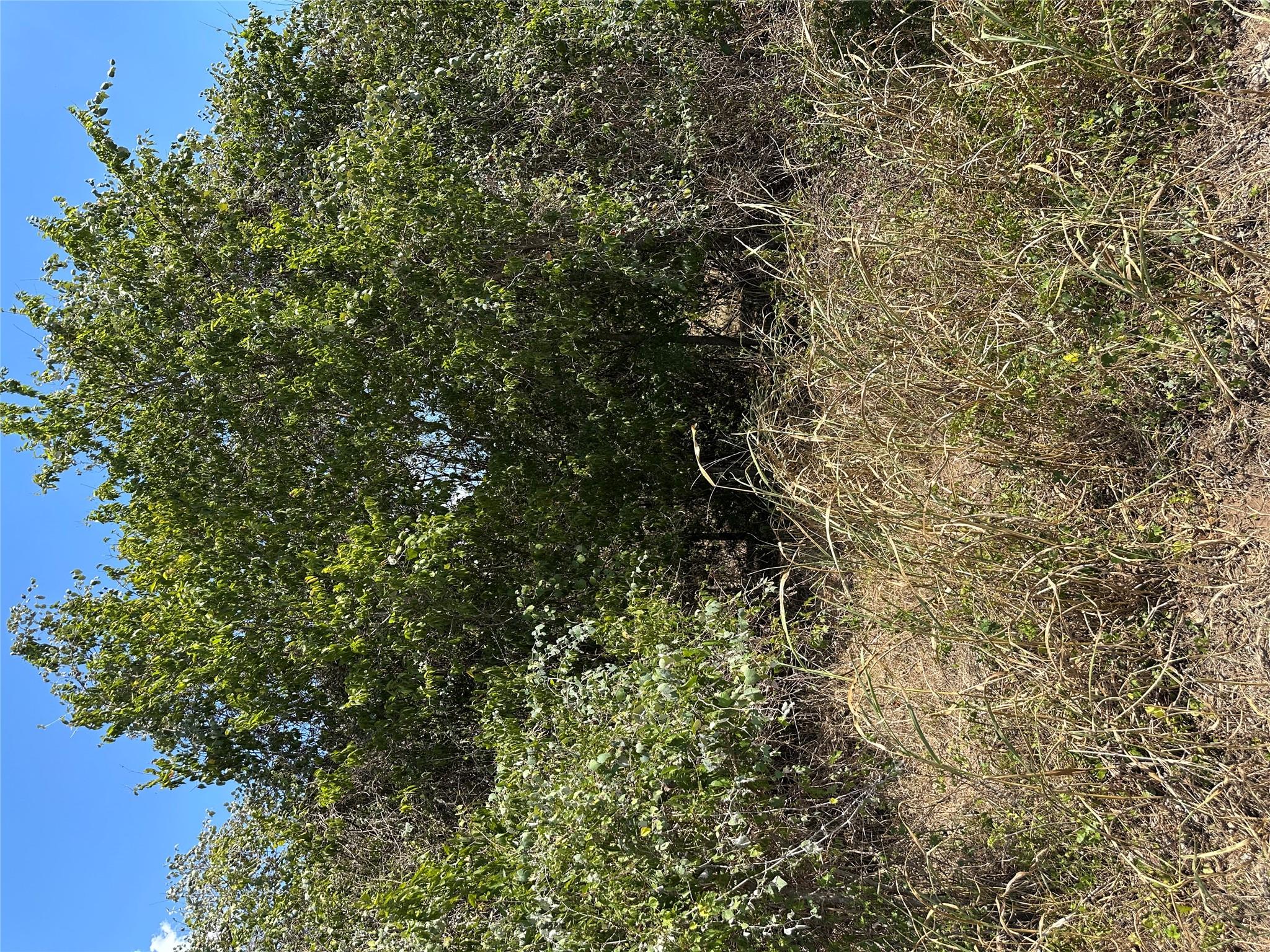 TBD Pine Hill Loop Loop, Bastrop, TX 78602