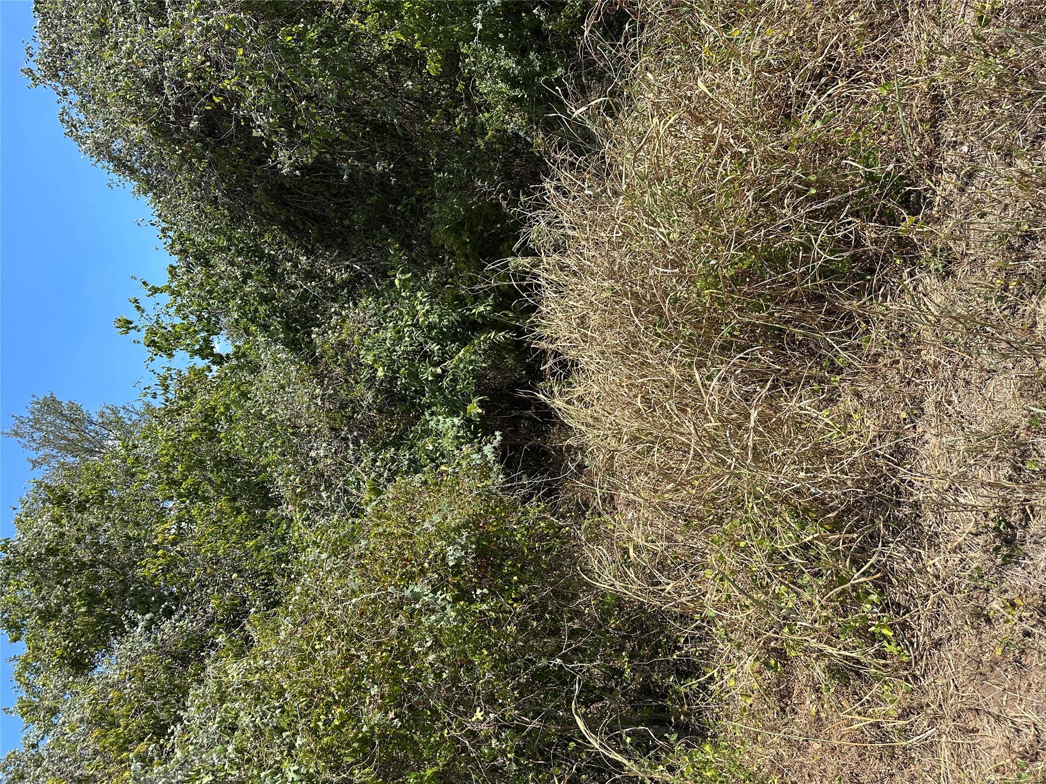 TBD Pine Hill Loop Loop, Bastrop, TX 78602