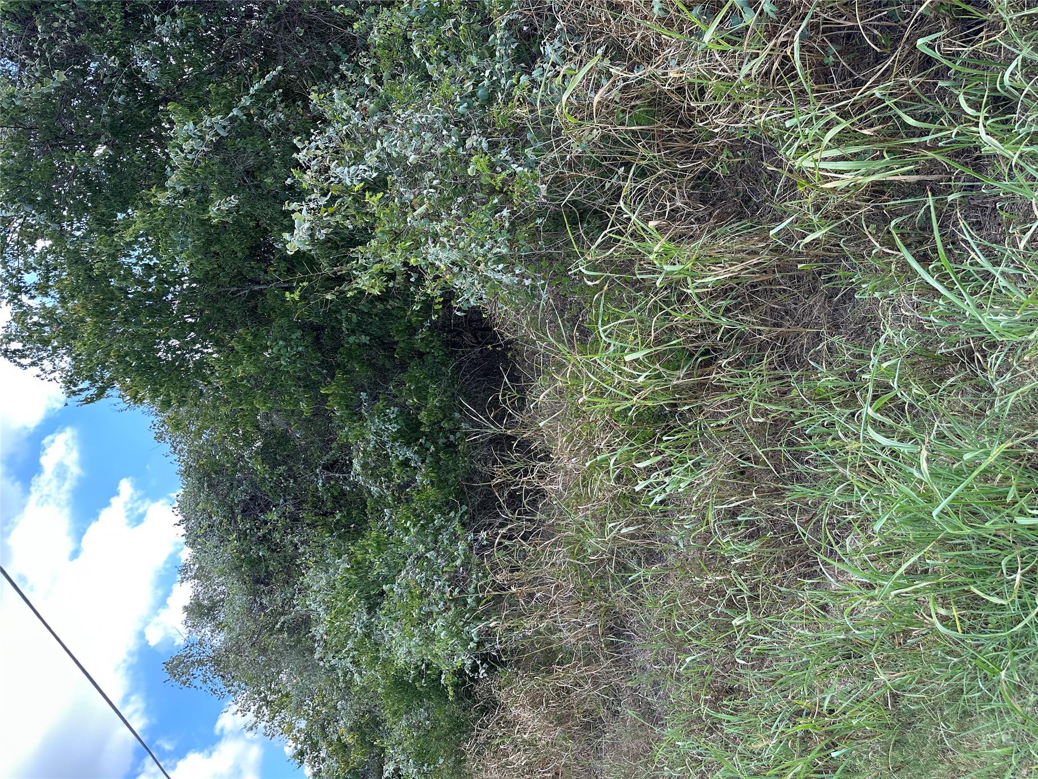 TBD Pine Hill Loop Loop, Bastrop, TX 78602