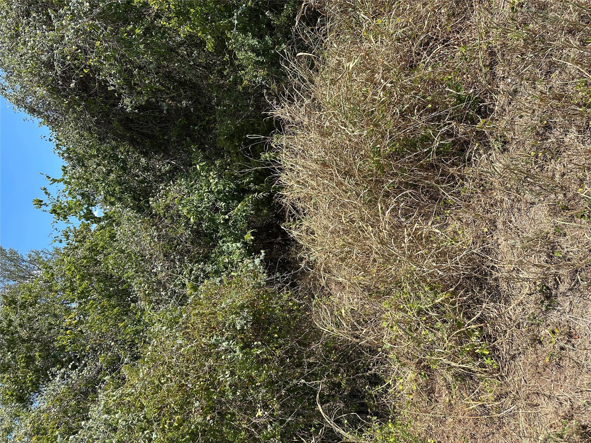 TBD Pine Hill Loop Loop, Bastrop, TX 78602