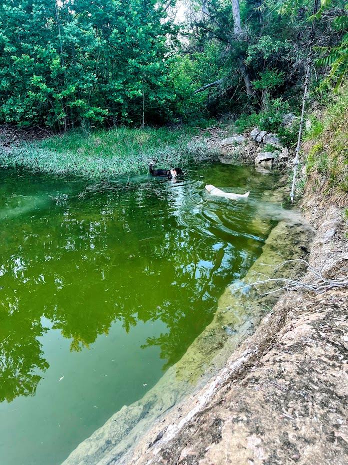 1930 S Rainbow Ranch Rd, Wimberley, TX 78676