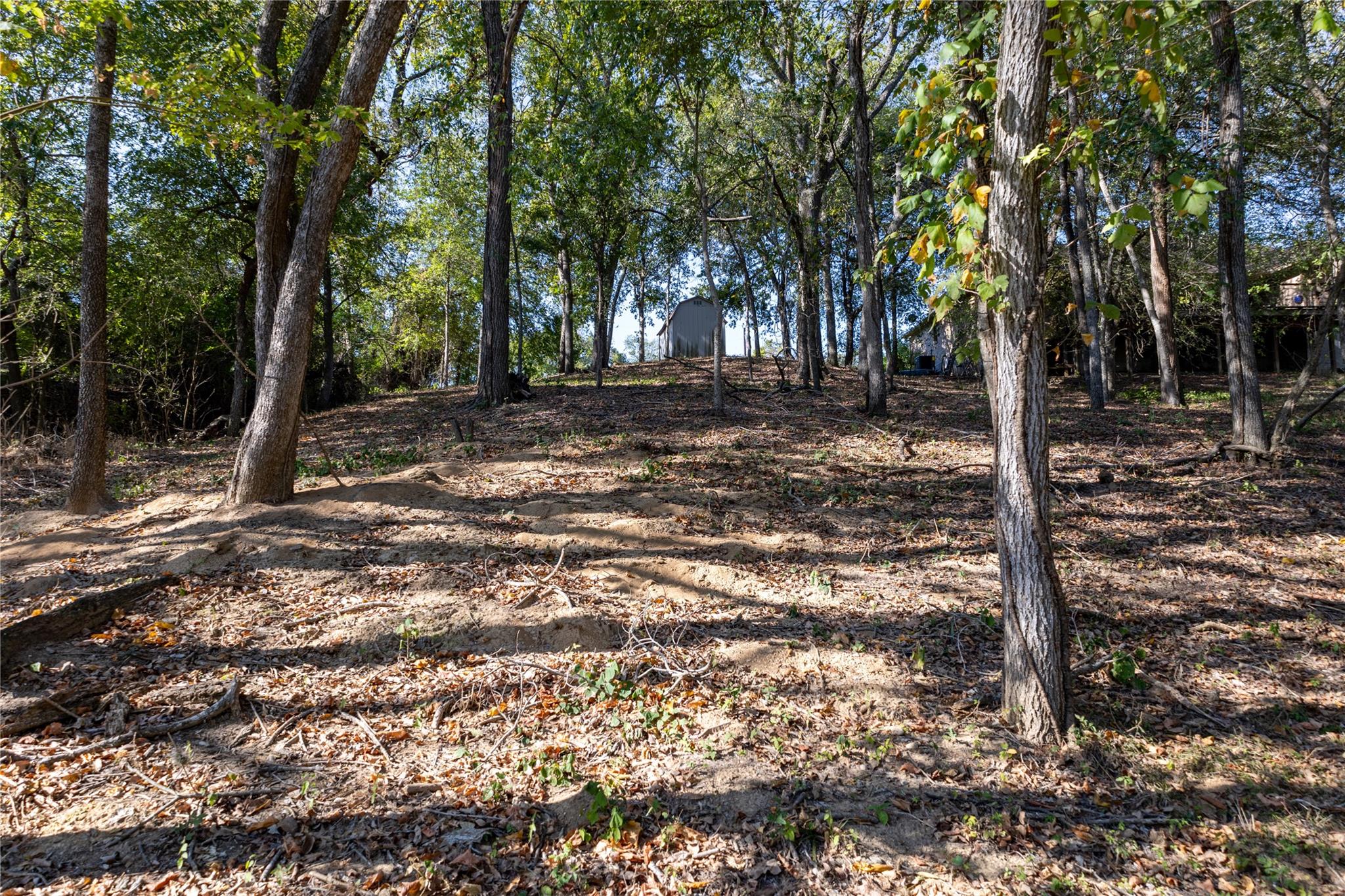 314 Red Bird Ln, Kingsbury, TX 78638