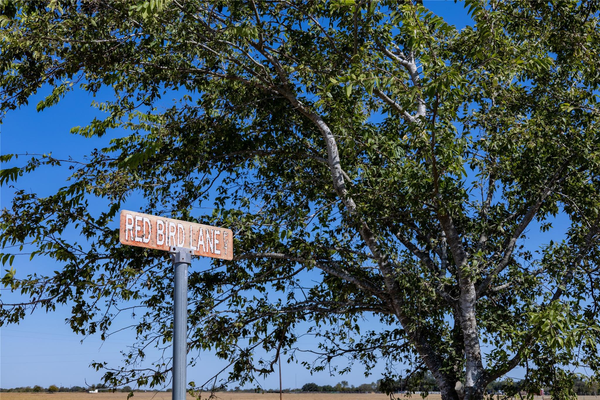 314 Red Bird Ln, Kingsbury, TX 78638