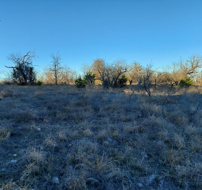 TBD Lot# 33 Comanche Hills Dr, Comanche, TX 76442