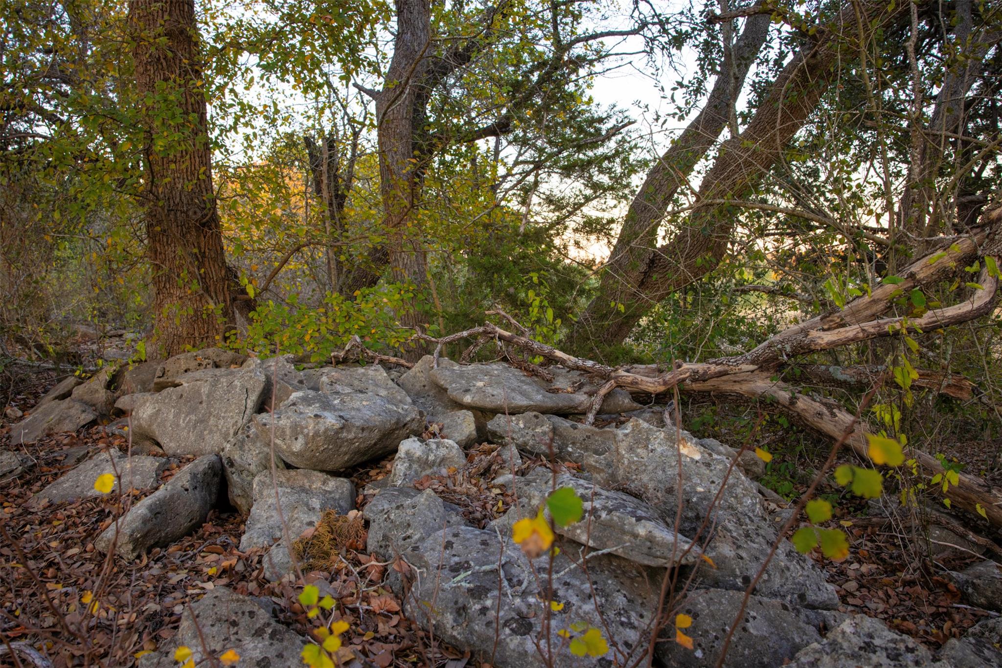 13977 FM 2325, Blanco, TX 78606