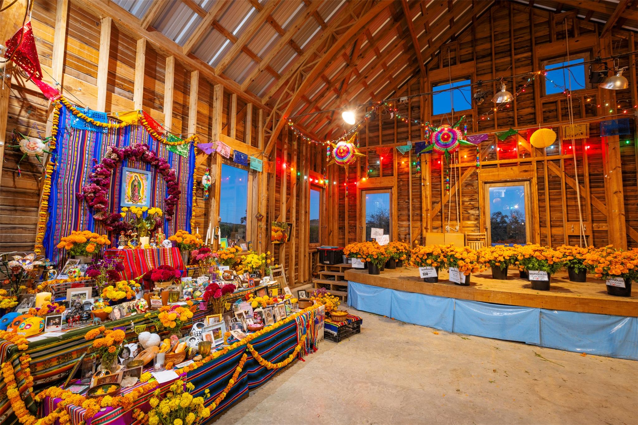 13977 FM 2325, Blanco, TX 78606