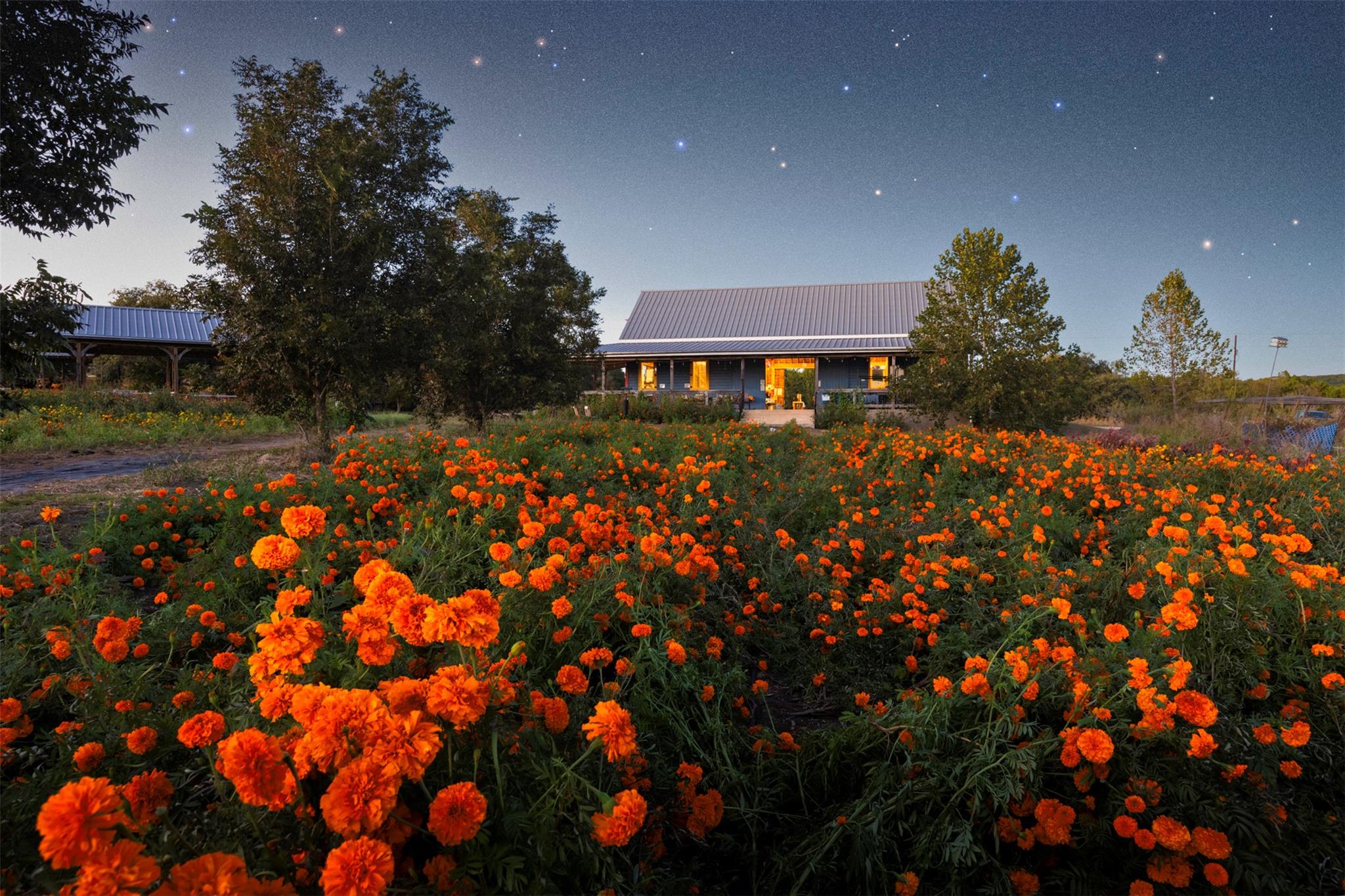 13977 FM 2325, Blanco, TX 78606