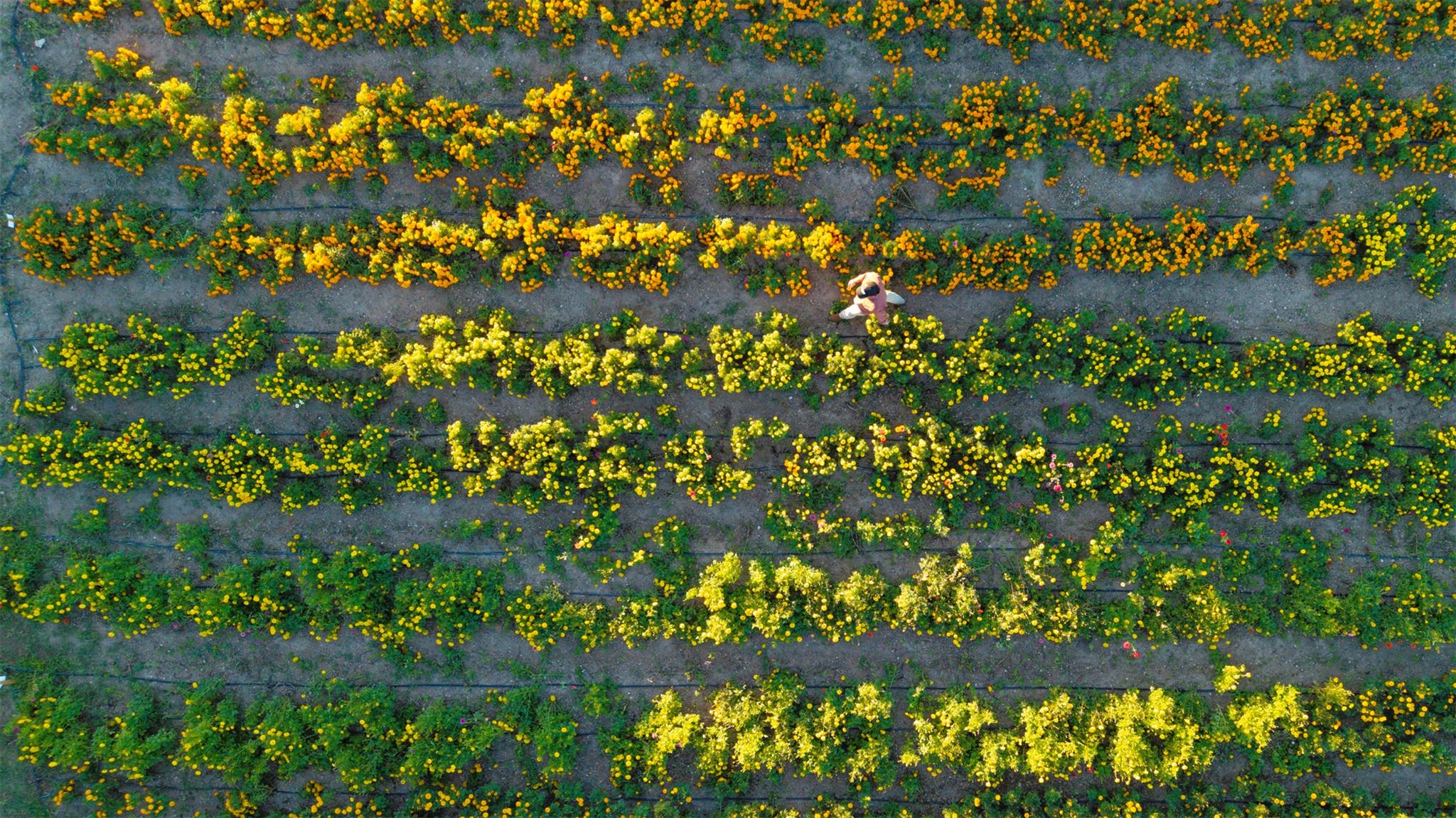 13977 FM 2325, Blanco, TX 78606