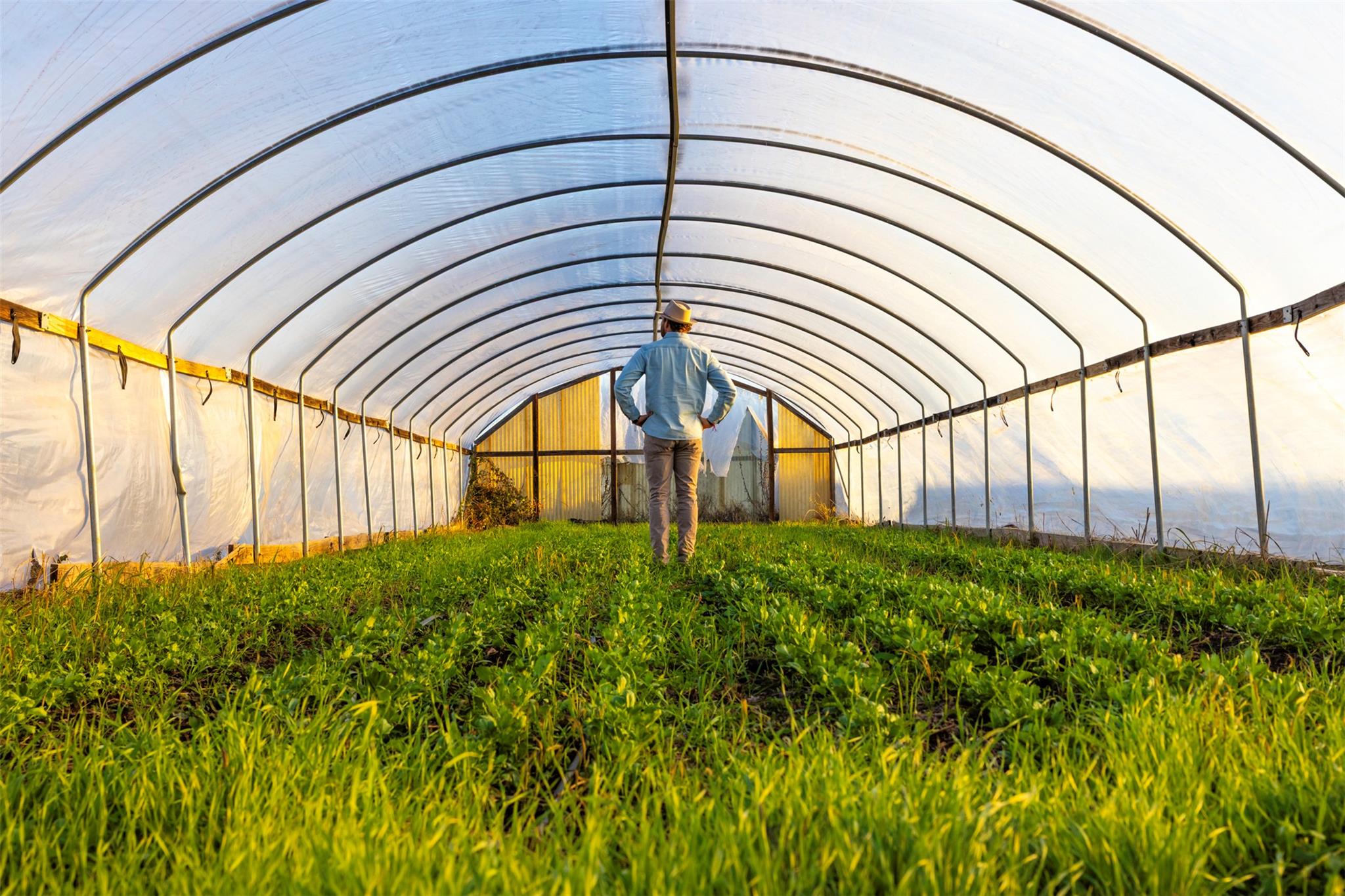 13977 FM 2325, Blanco, TX 78606