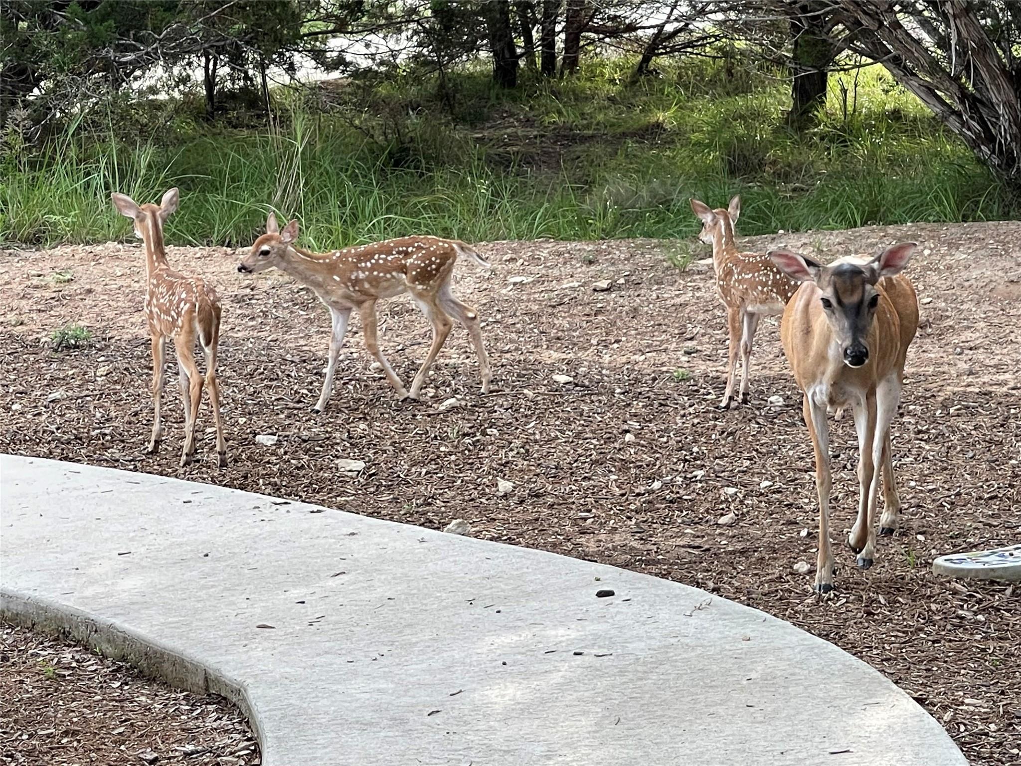 13326 Trautwein Rd, Austin, TX 78737